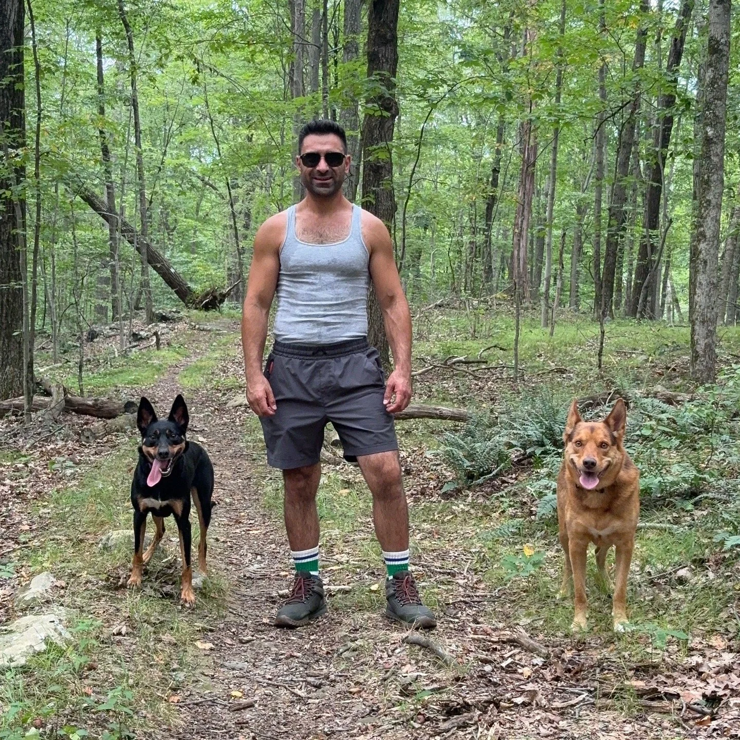 Journey, Quest and Anthony hiking off leash in the woods