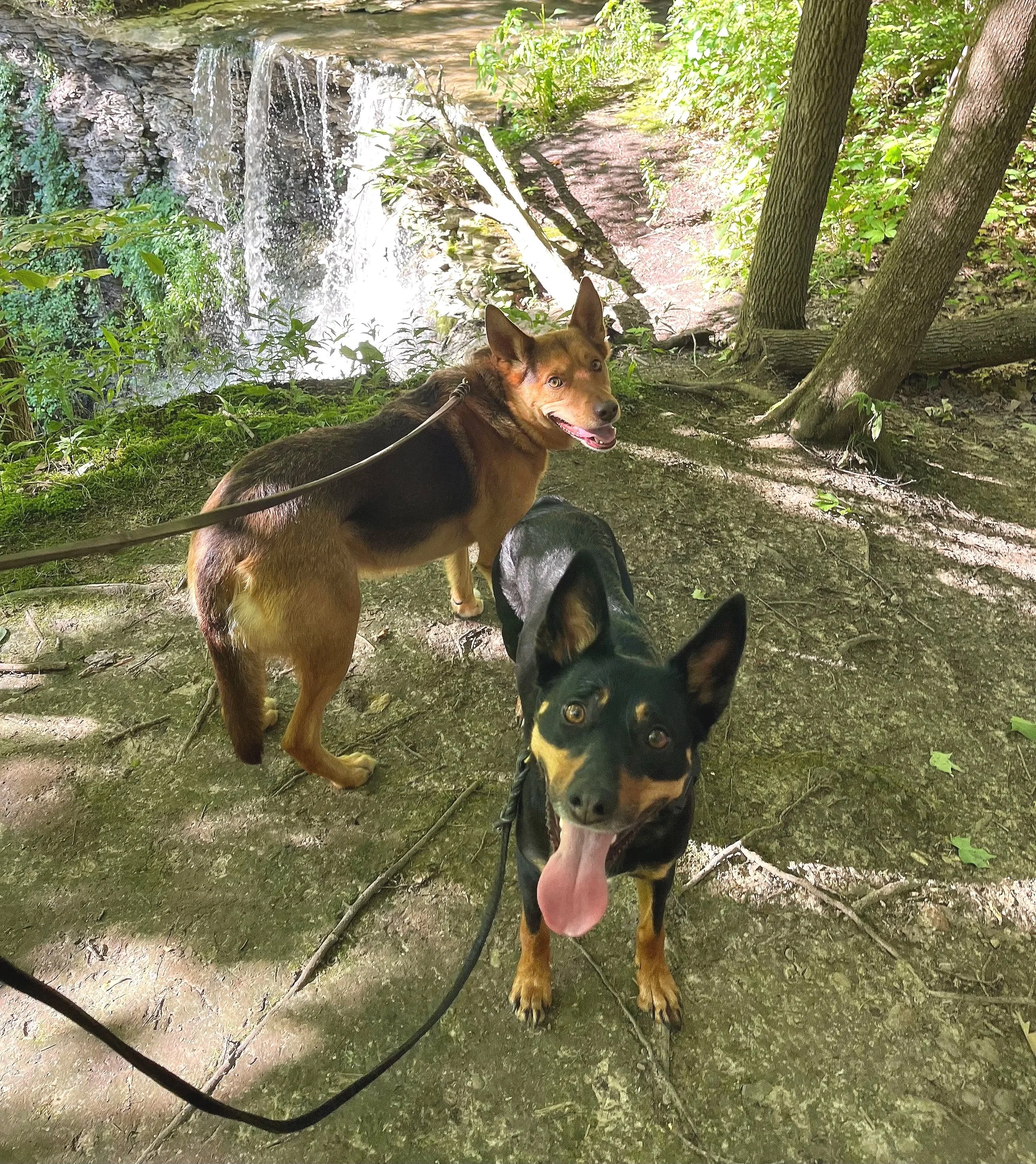 Journey and Quest hiking