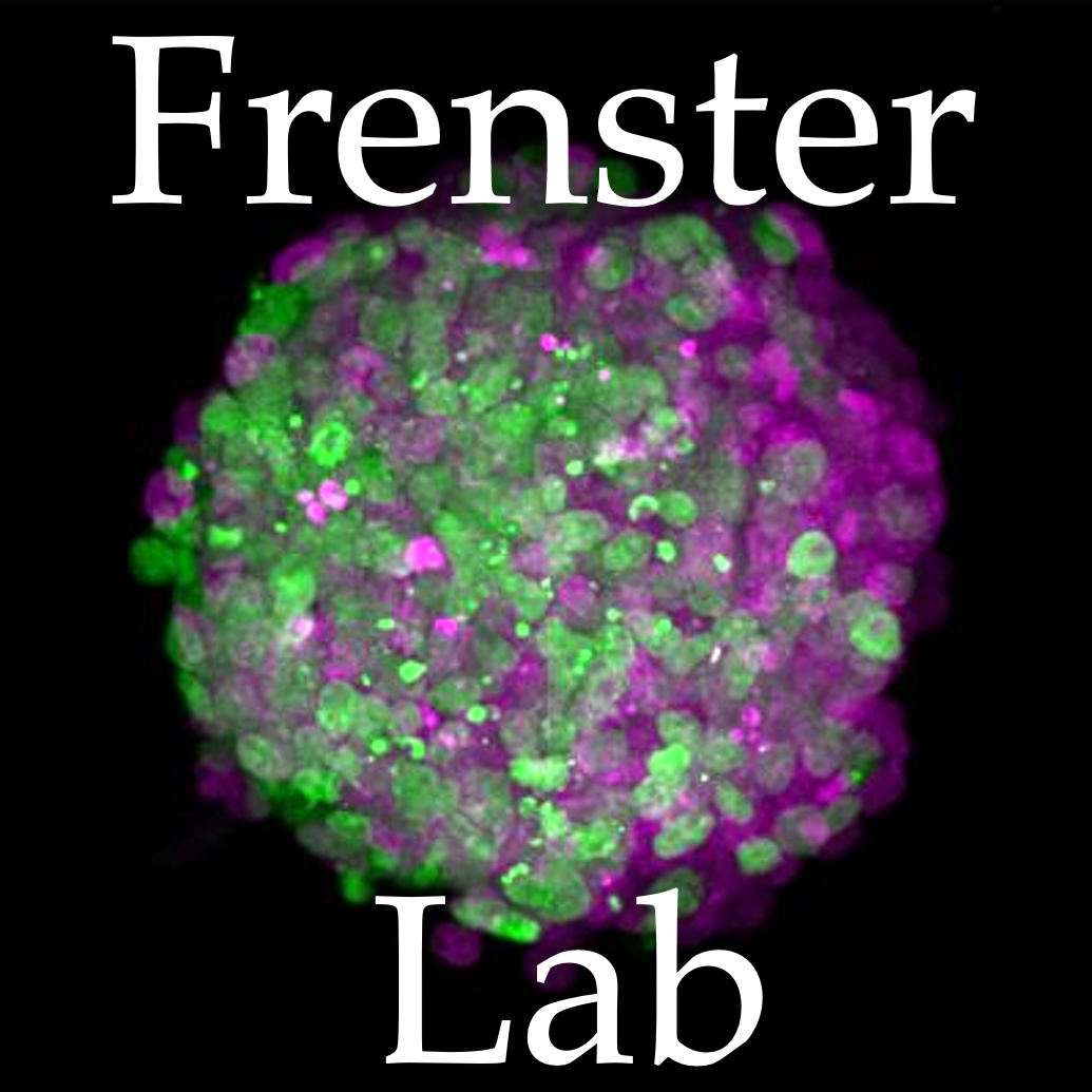 Frenster Lab
