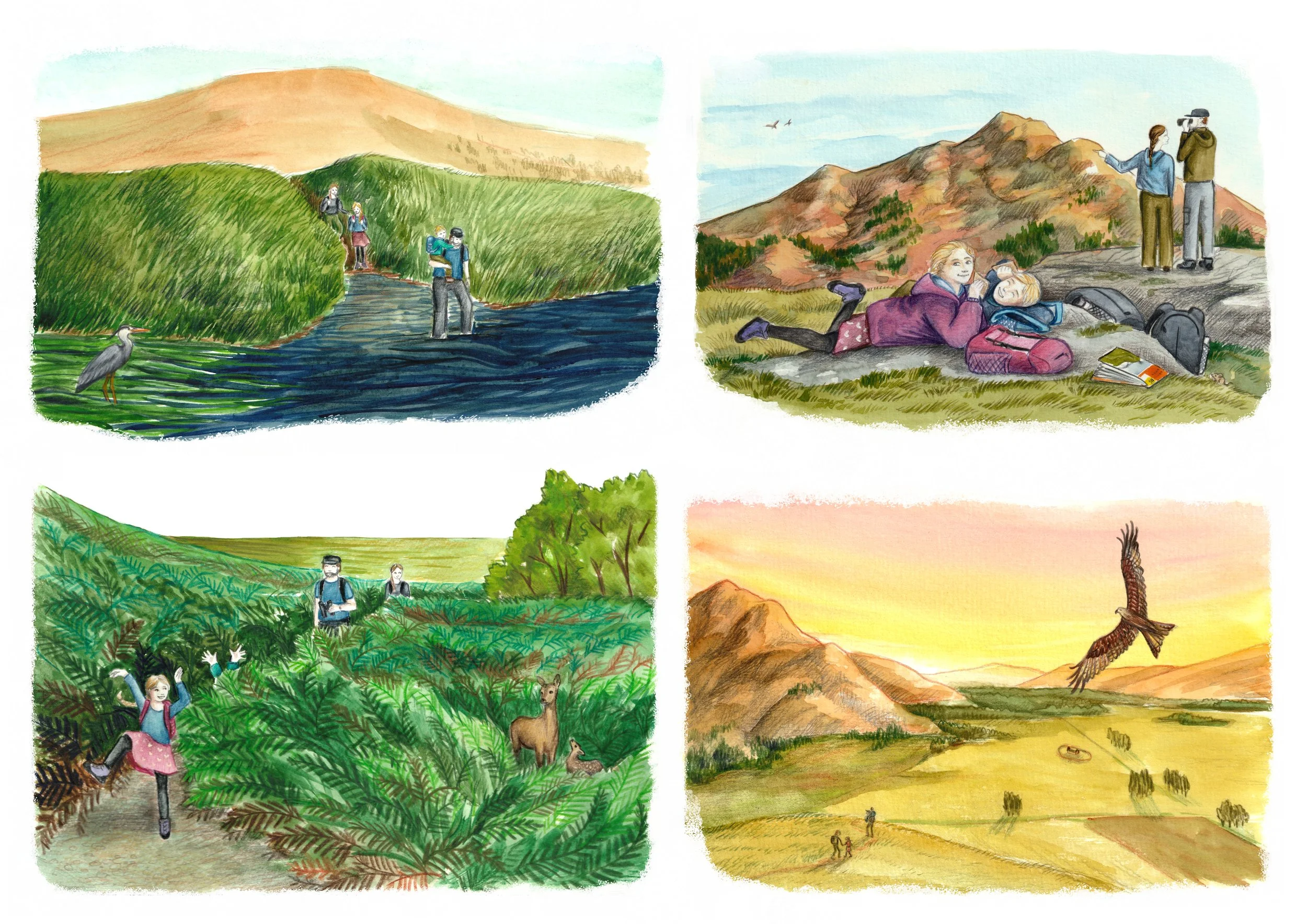 Fillans hill trip.jpg