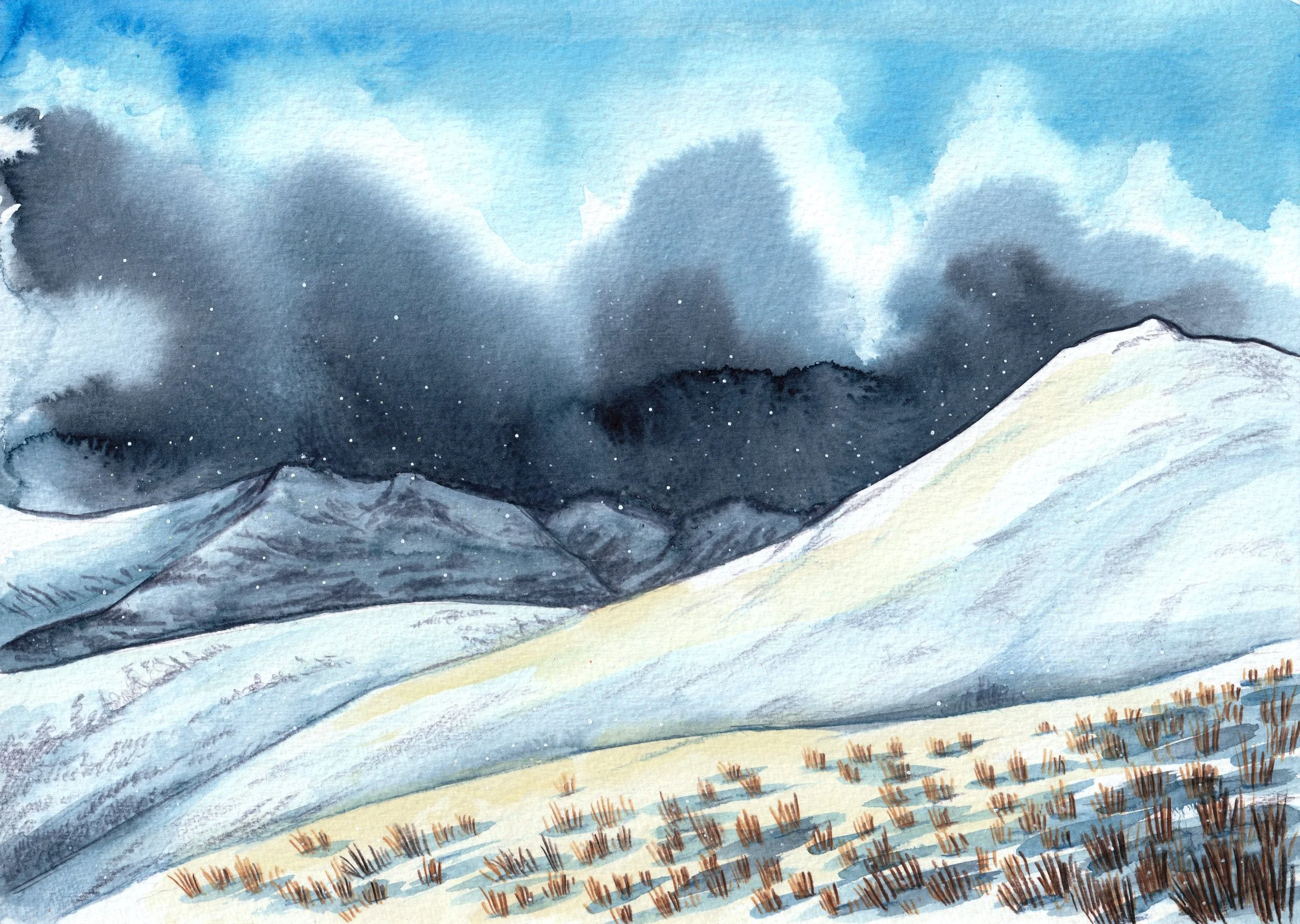 1 winter - January - snow flurries SMALL.jpg