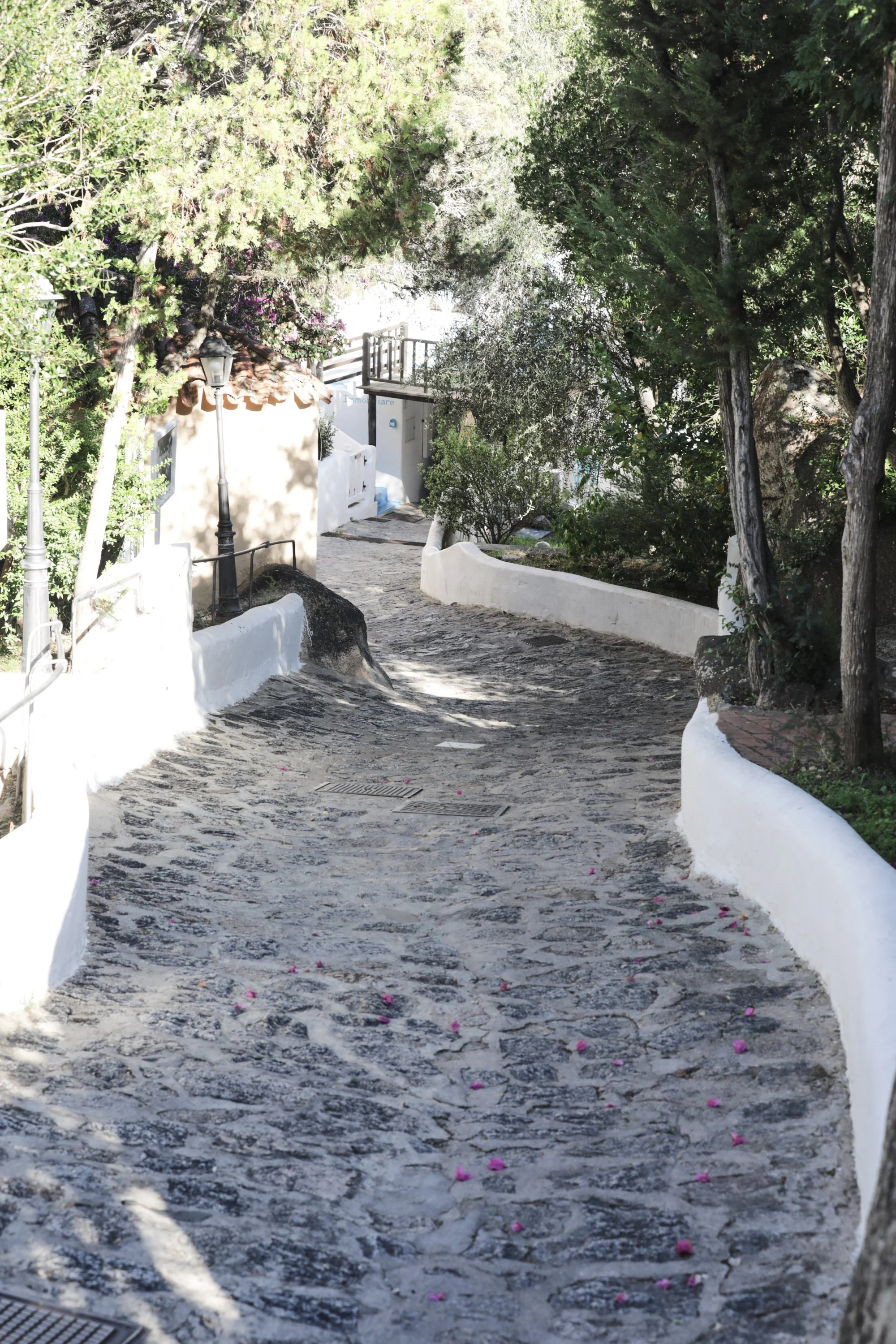 68f357be2299563664115764_044A3547 1.jpg