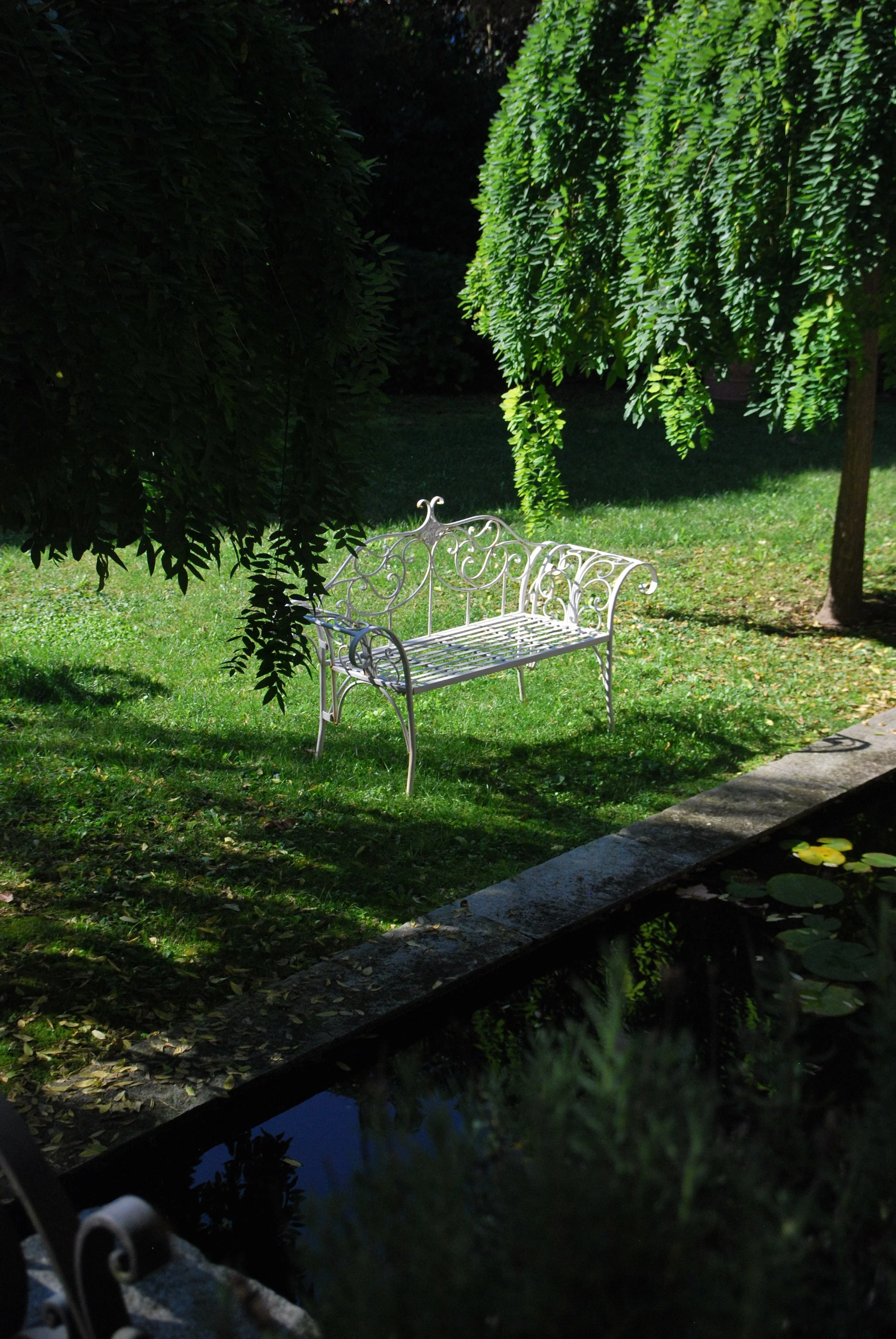 DSC_0336.JPG