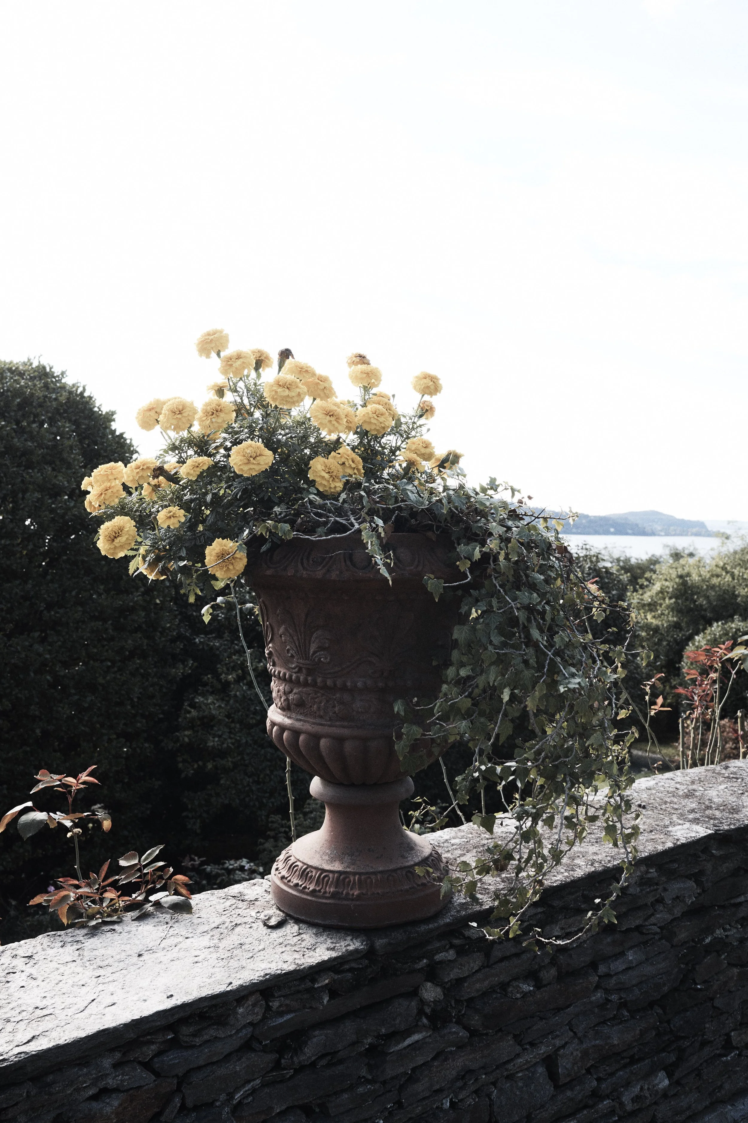 044A8253.jpg