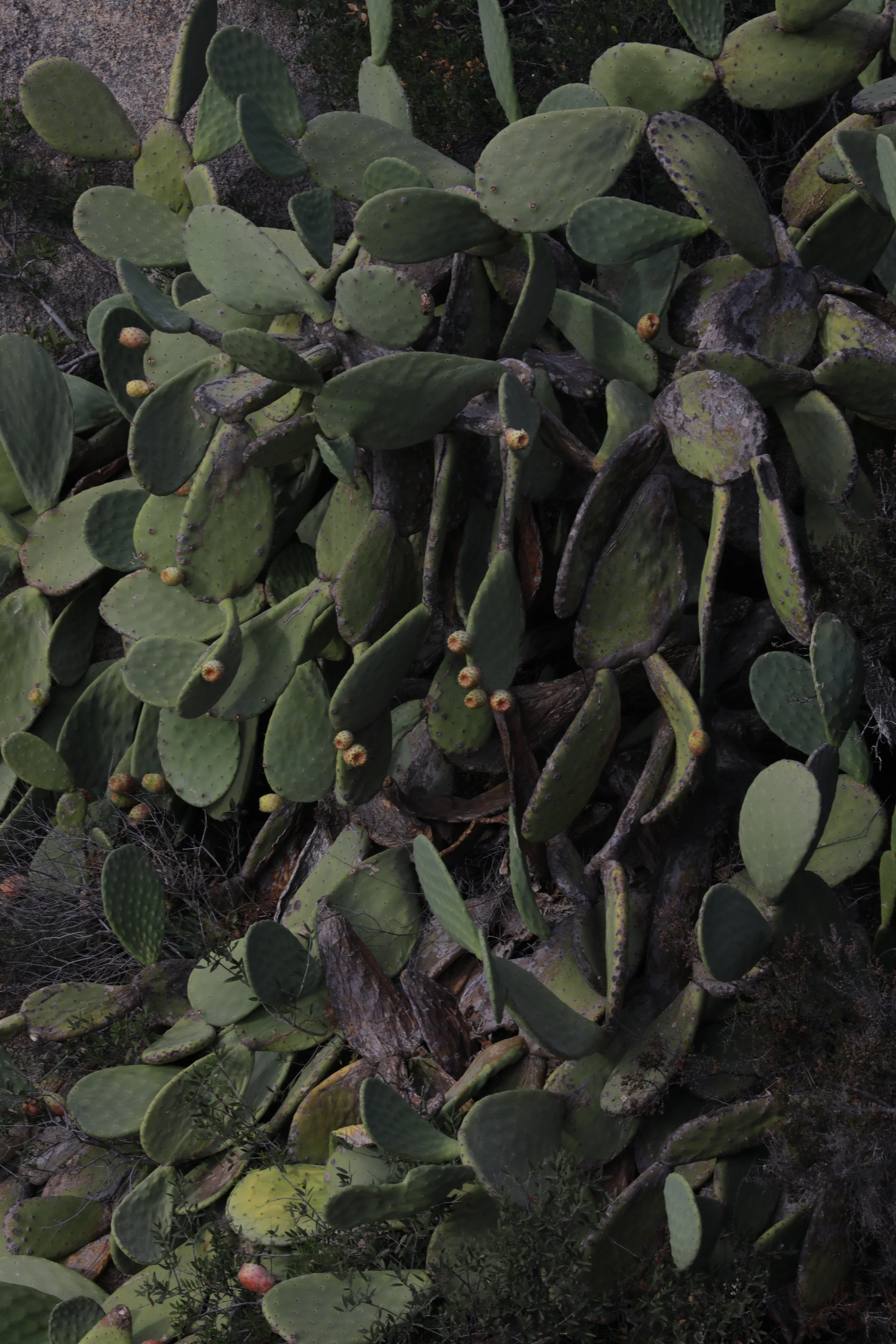 044A3678.JPG