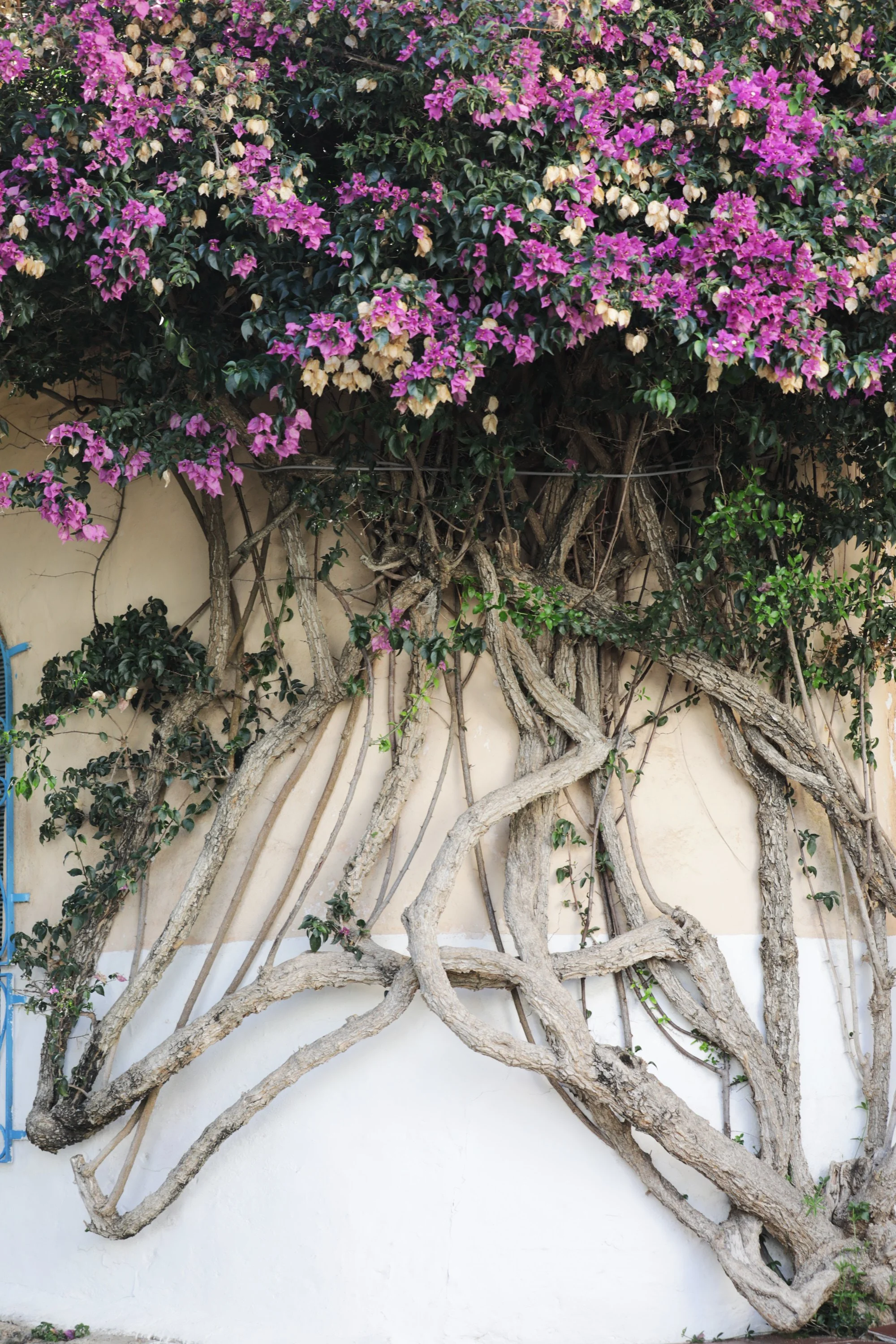 68f357c08e896affacdb8a15_044A3555 1.jpg