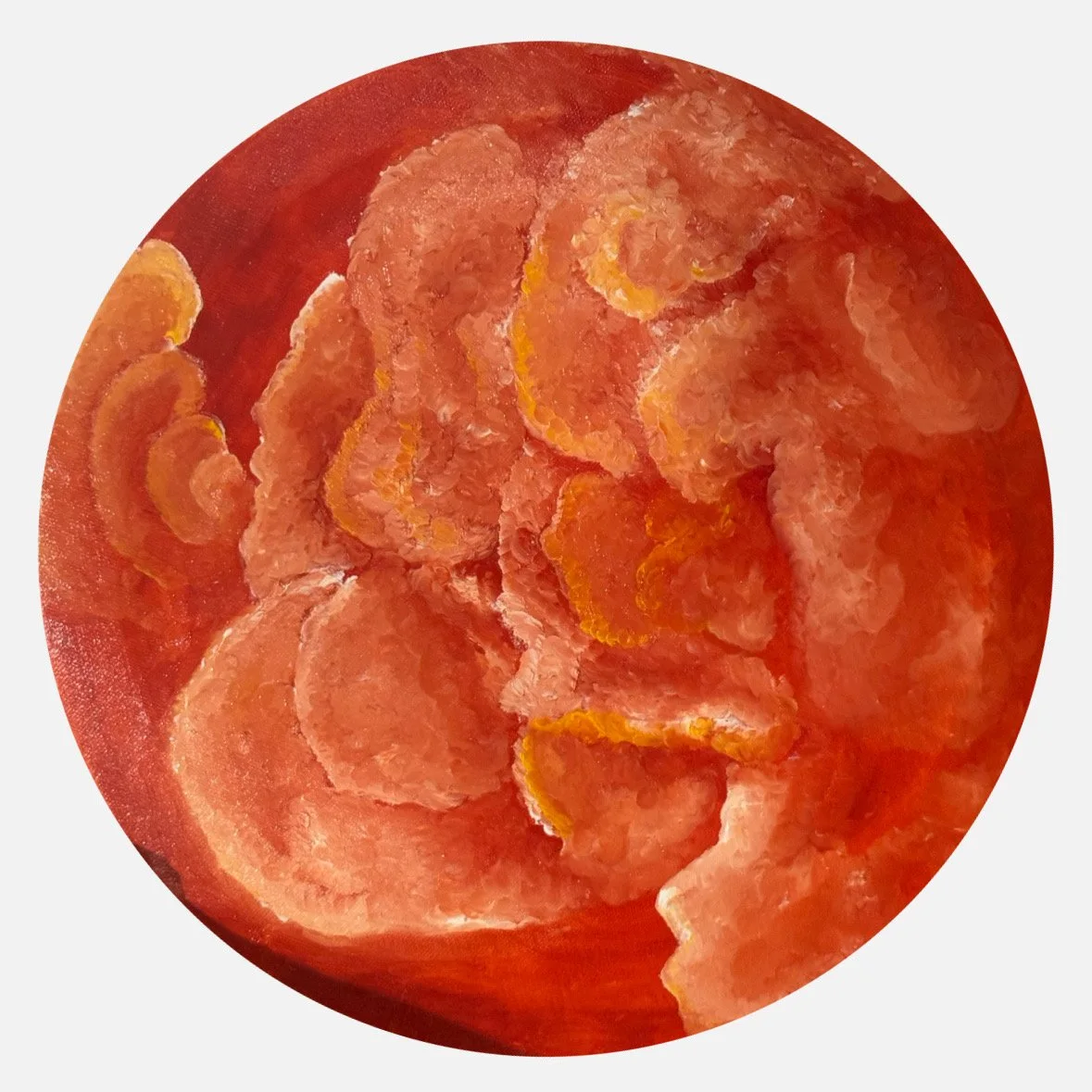 Close-up of a red bell pepper with its top removed, showing the inside with seeds and flesh.