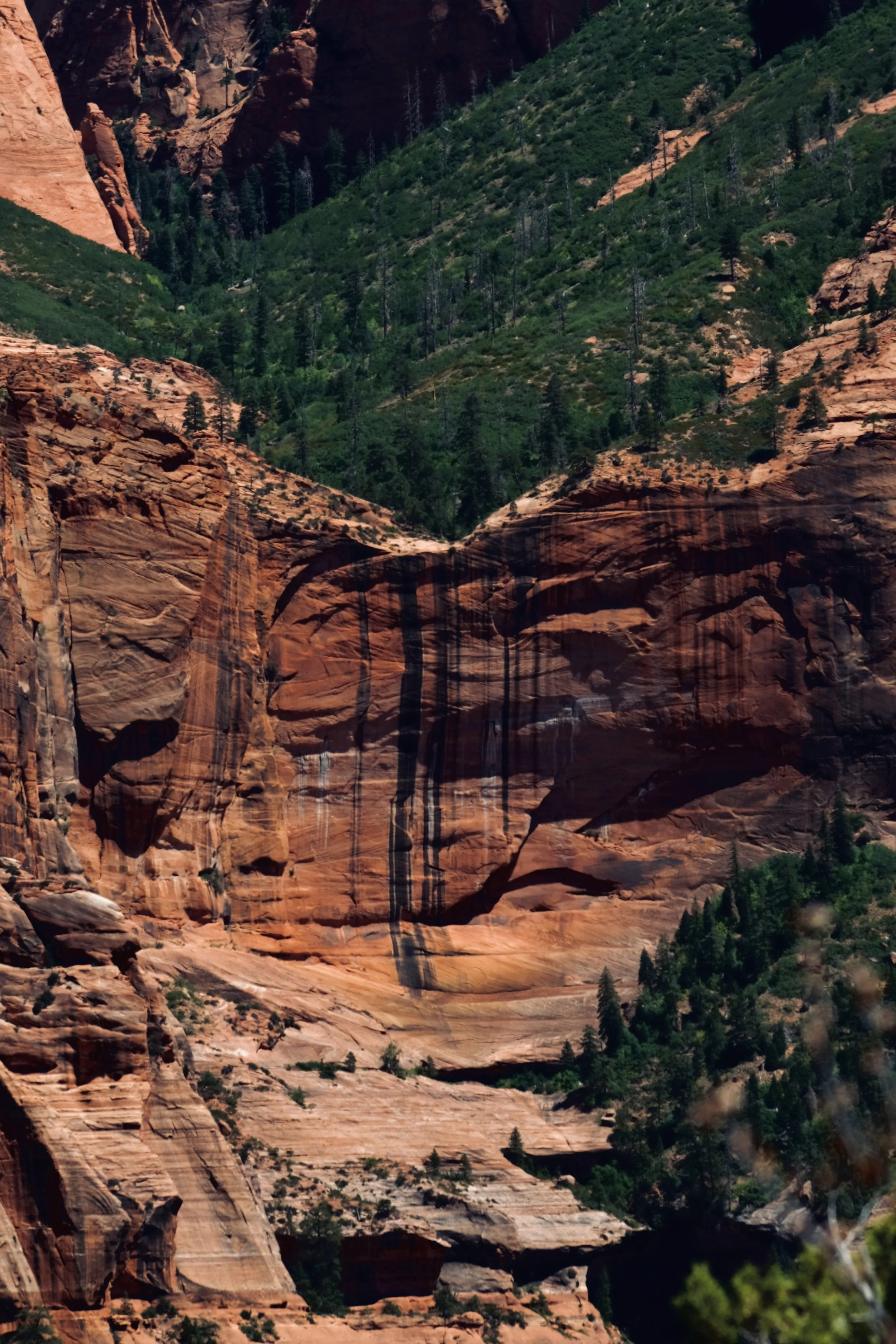 Red rocky cliffs and green forested mountain slope.
