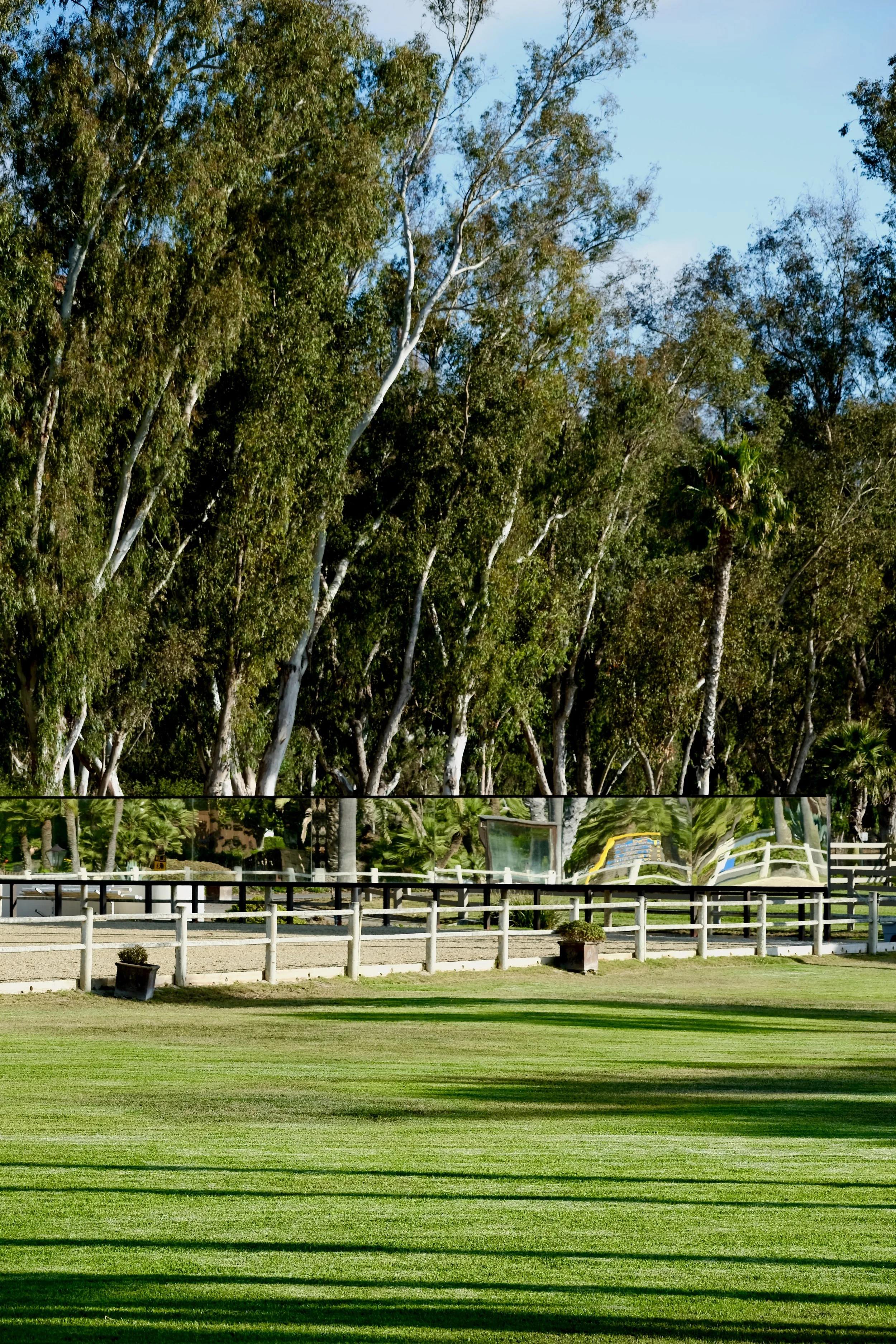 A park scene with neatly mowed green grass, a white fence, and tall trees in the background. The sky is blue with some clouds.