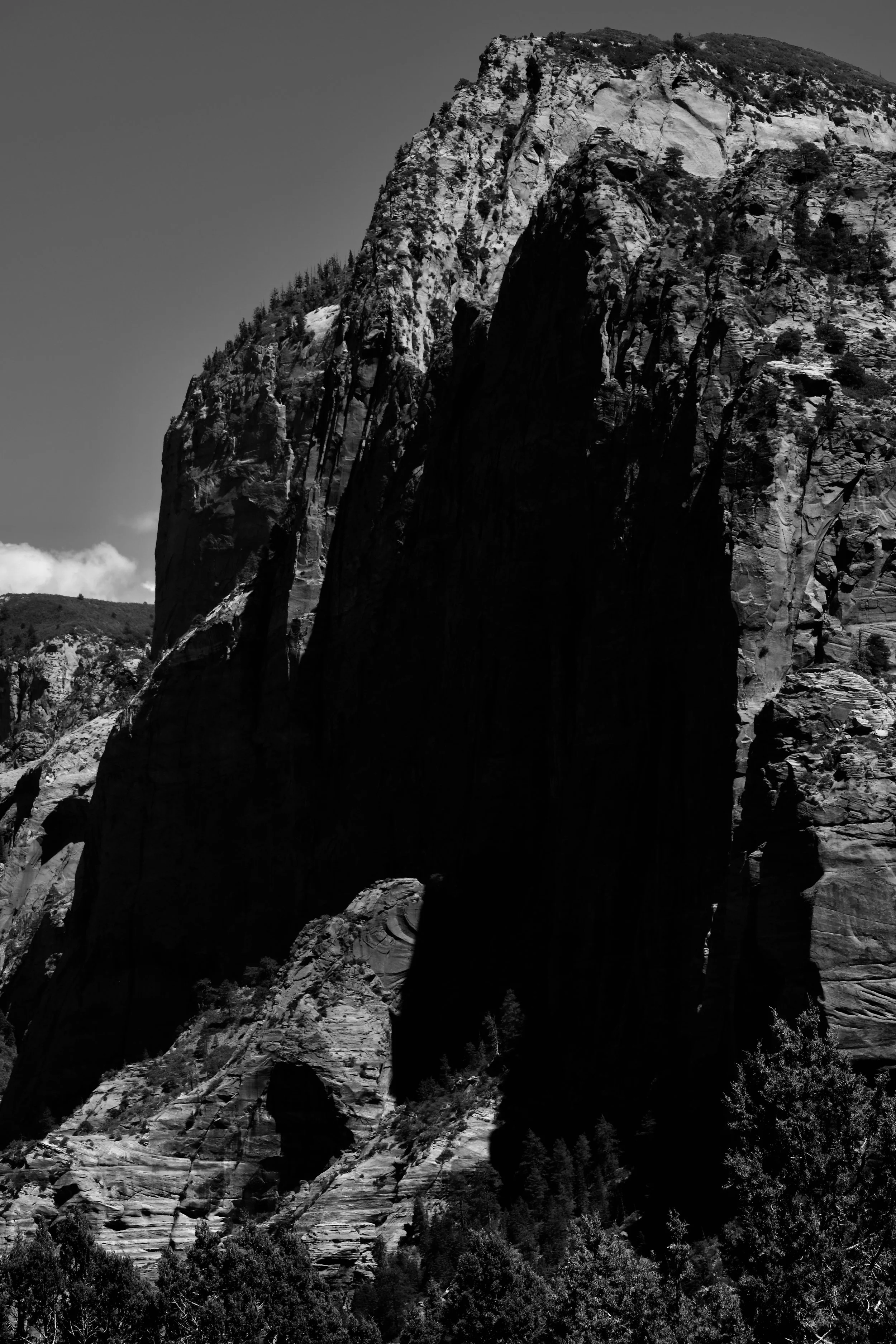 Black & White Photographs