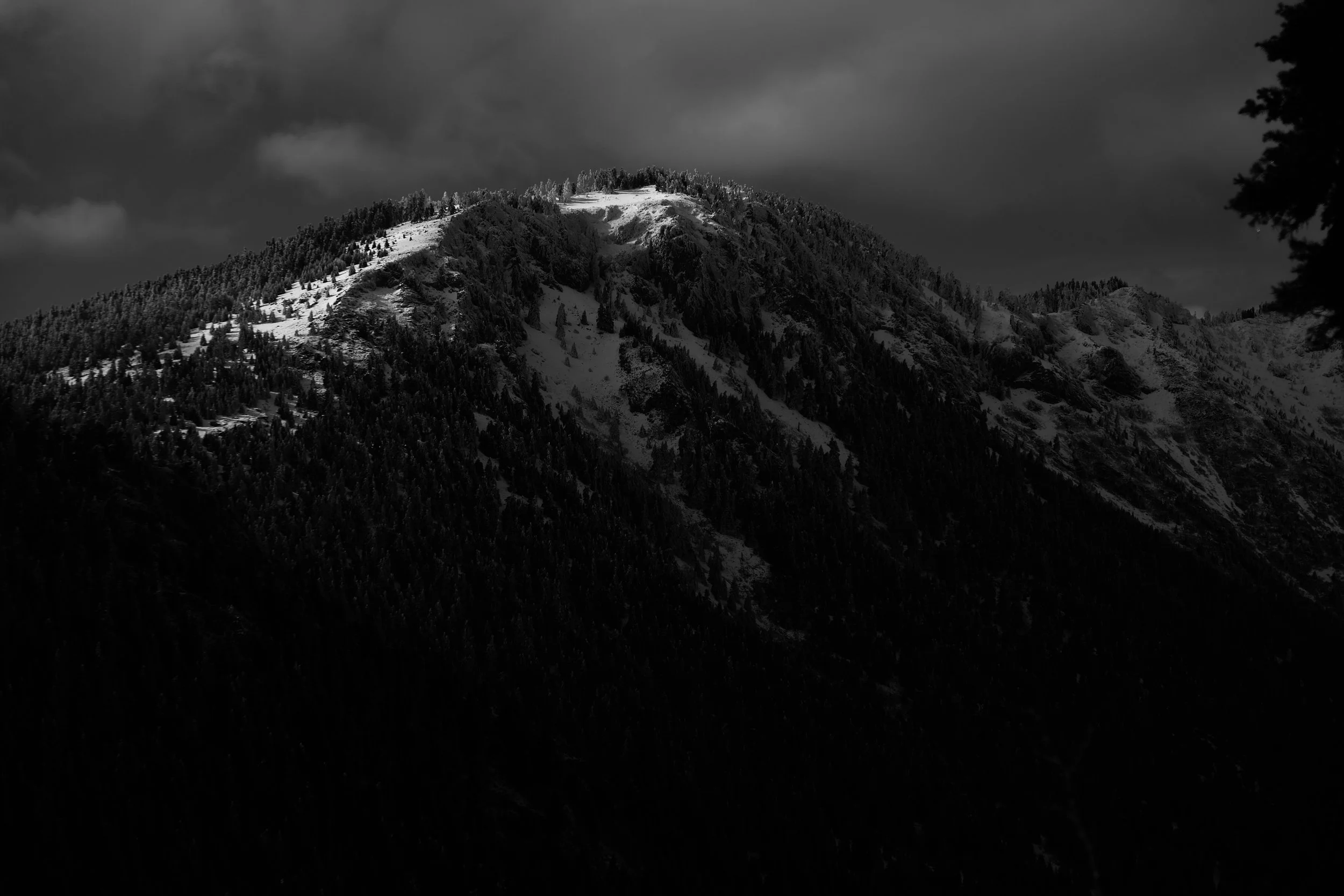 Dark mountain landscape with snow patches, dense trees, and cloudy sky.