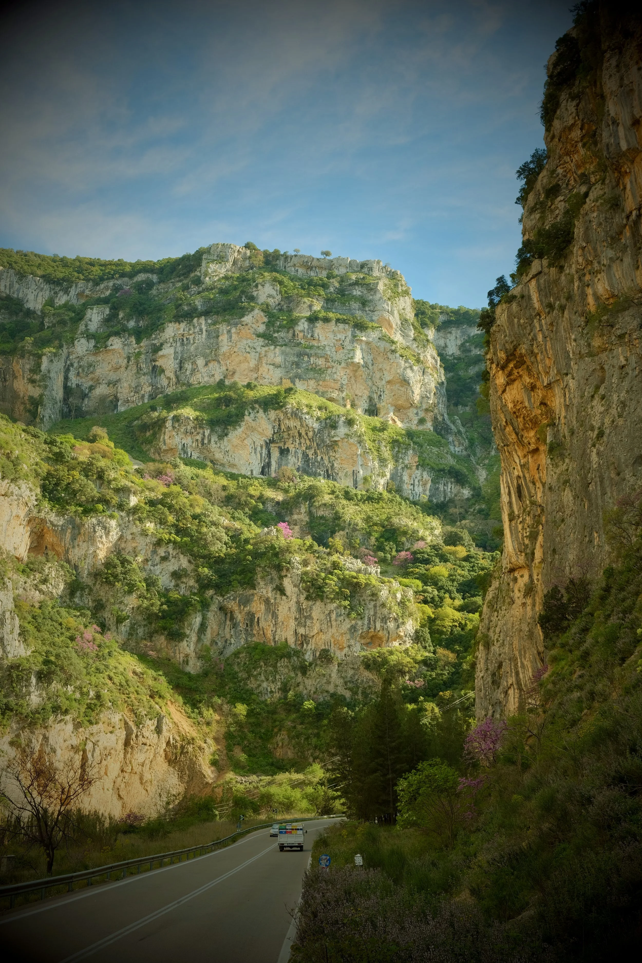 A scenic mountain road surrounded by lush green trees and colorful blooming flowers, with steep rocky cliffs on either side and a clear blue sky overhead.