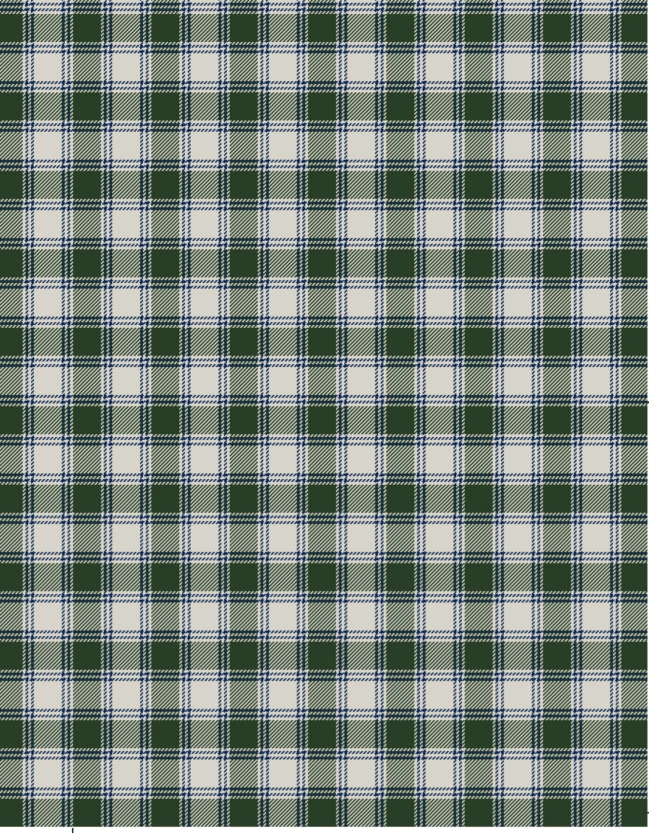 WINSLOW PLAID_YA0224 STONE copy.jpg