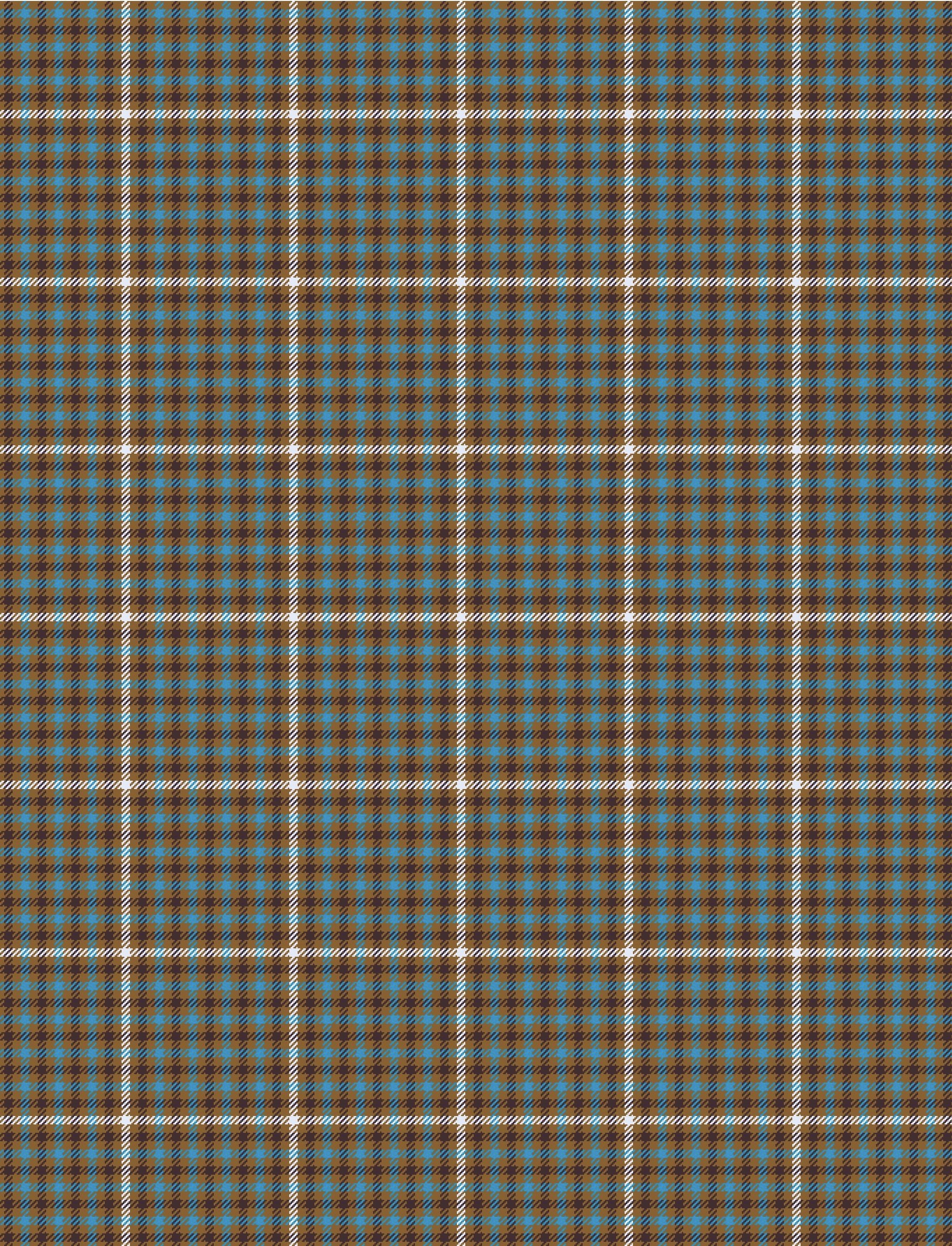 DUNBAR PLAID_--002-- copy.jpg