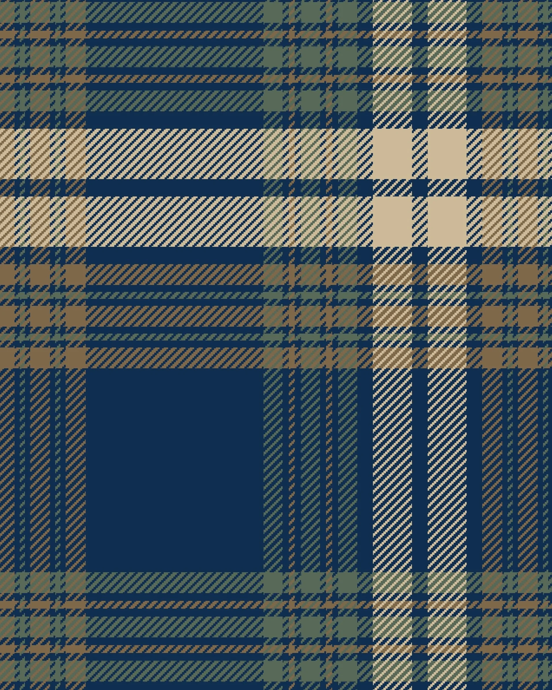 PLAYGROUND PLAID_--002-- copy.jpeg