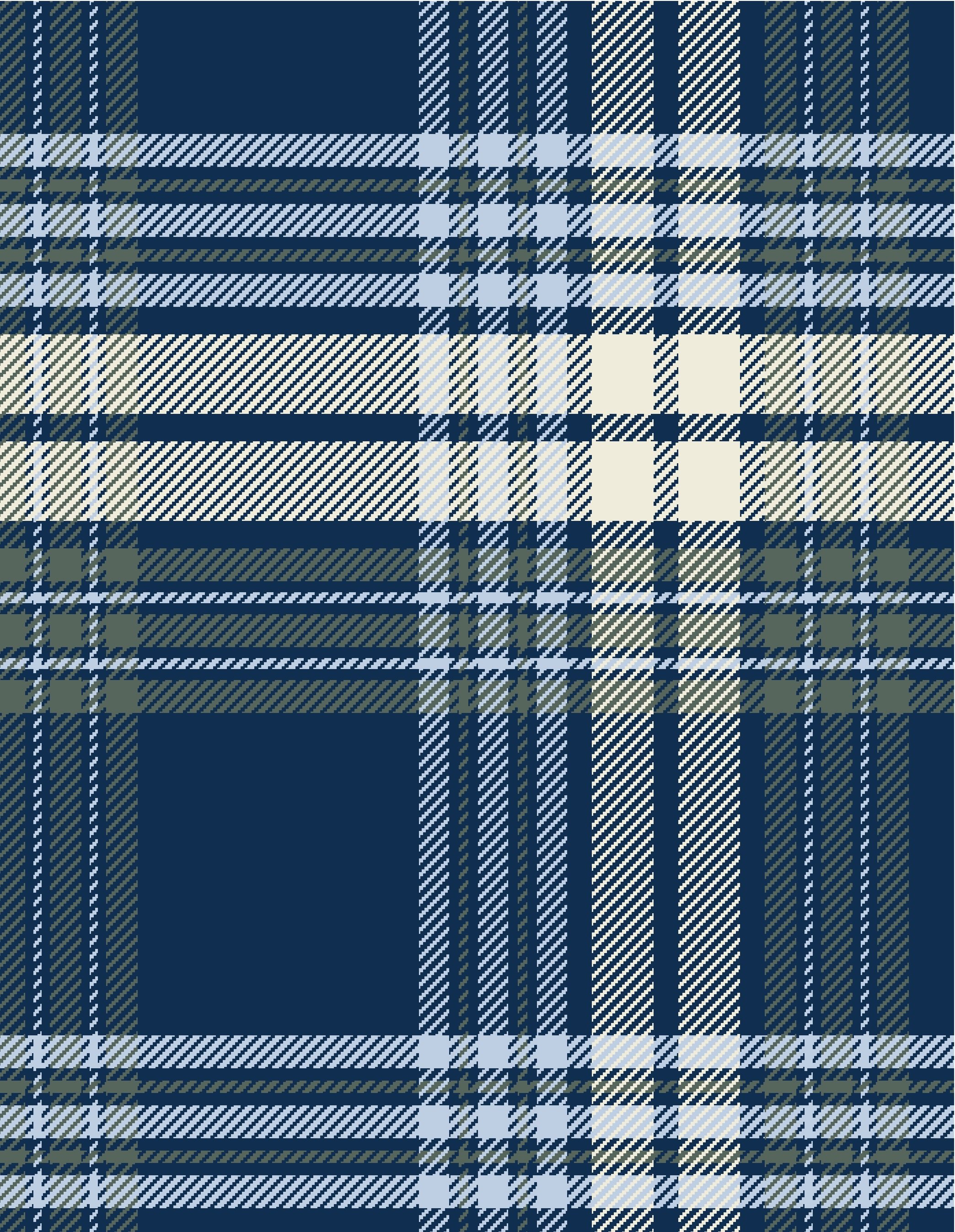 PLAYGROUND PLAID_--006-- copy.jpeg