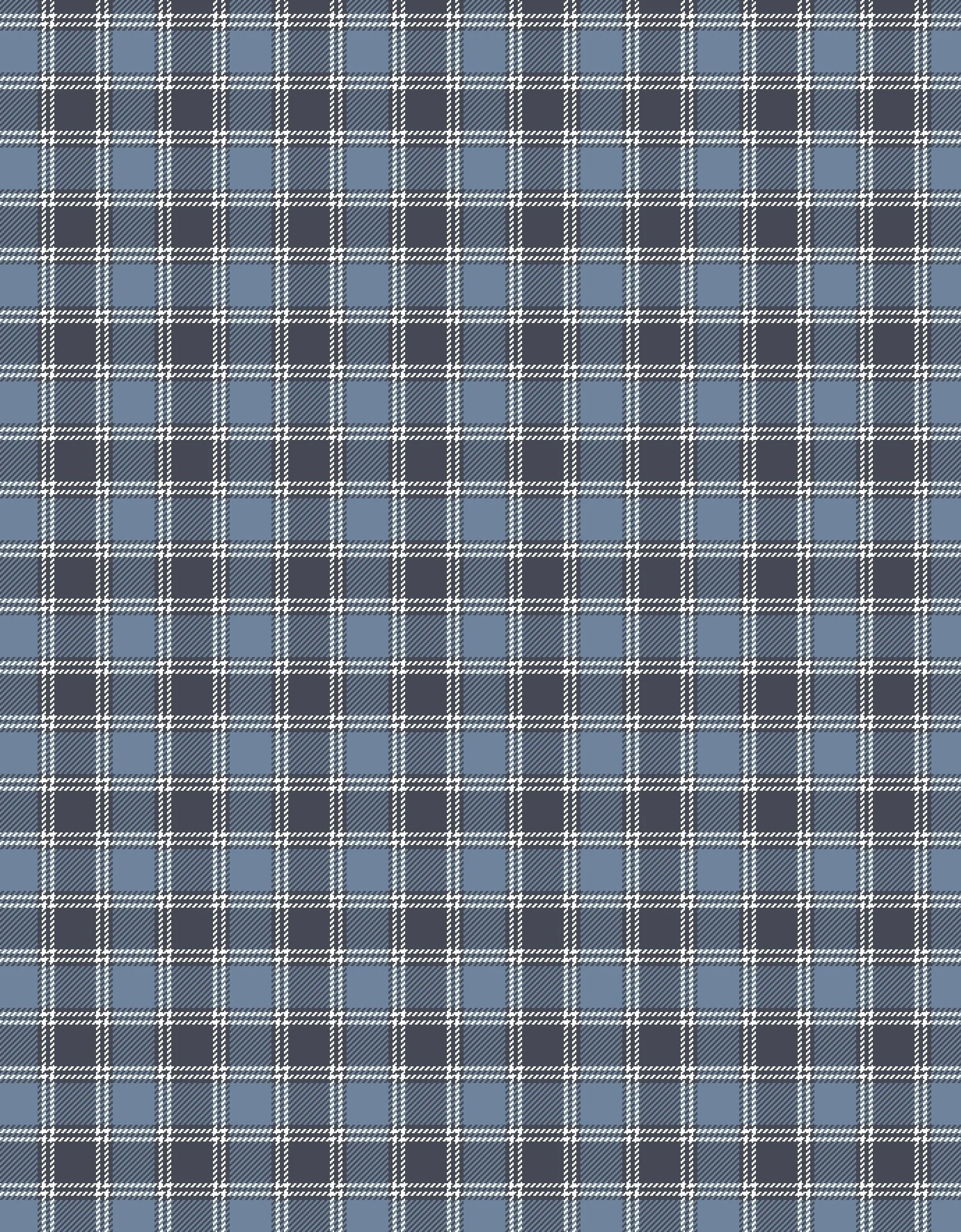 WINSLOW PLAID_YA0164 EVENING STORM  copy.jpg