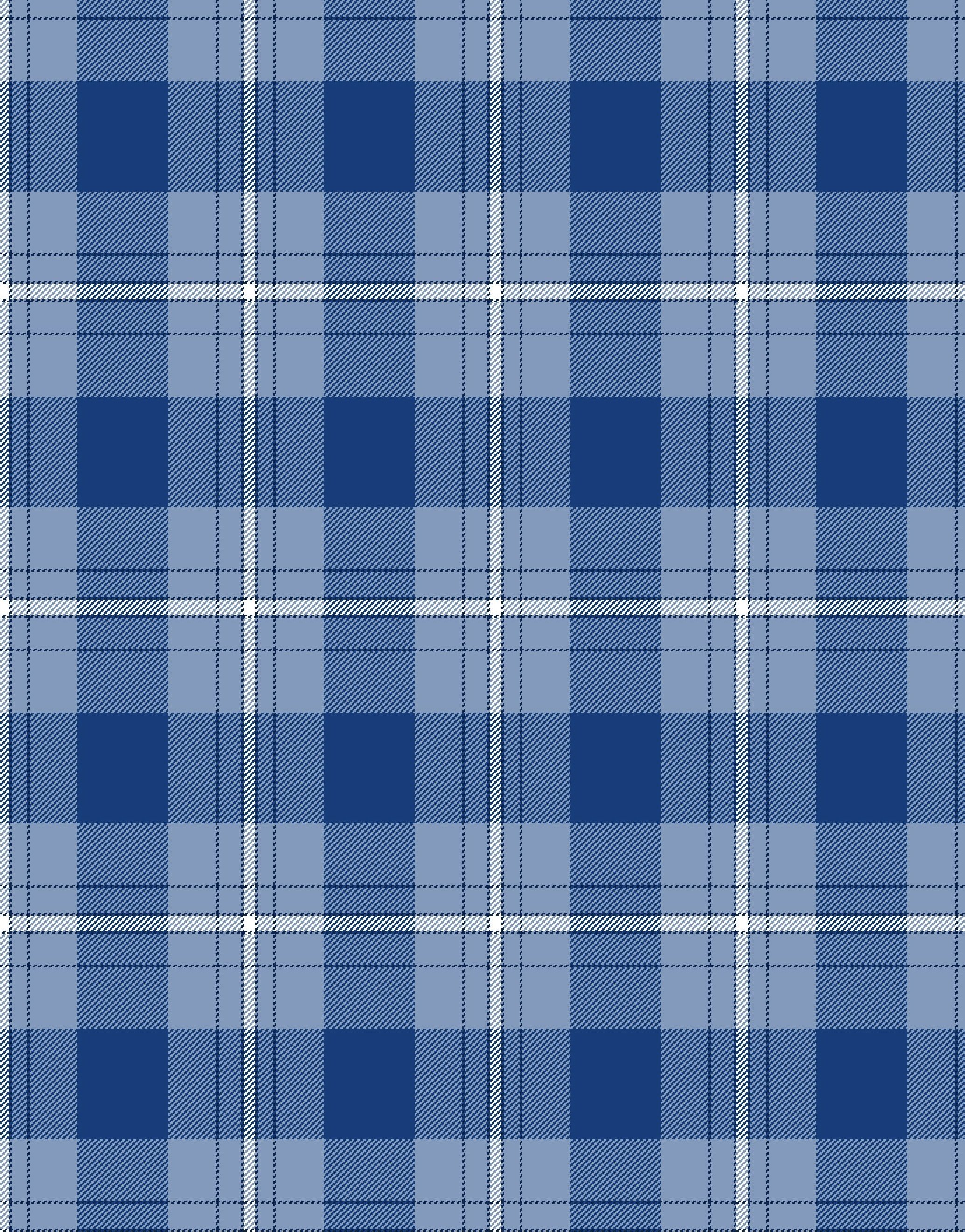 MATIN PLAID_YA0271 HYDRANGEA  copy.jpg