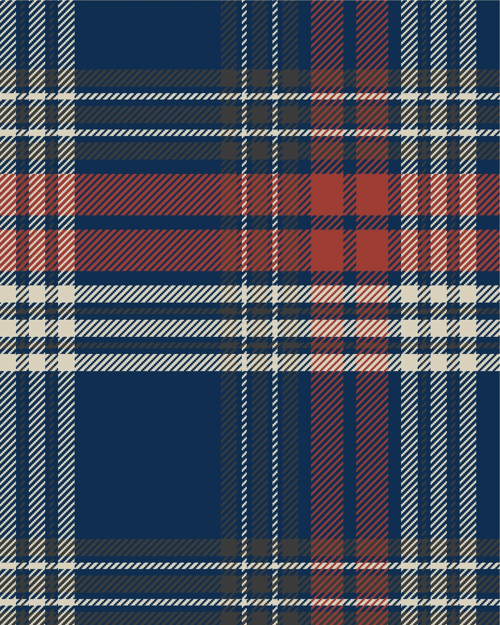 PLAYGROUND PLAID_--001-- copy.jpeg