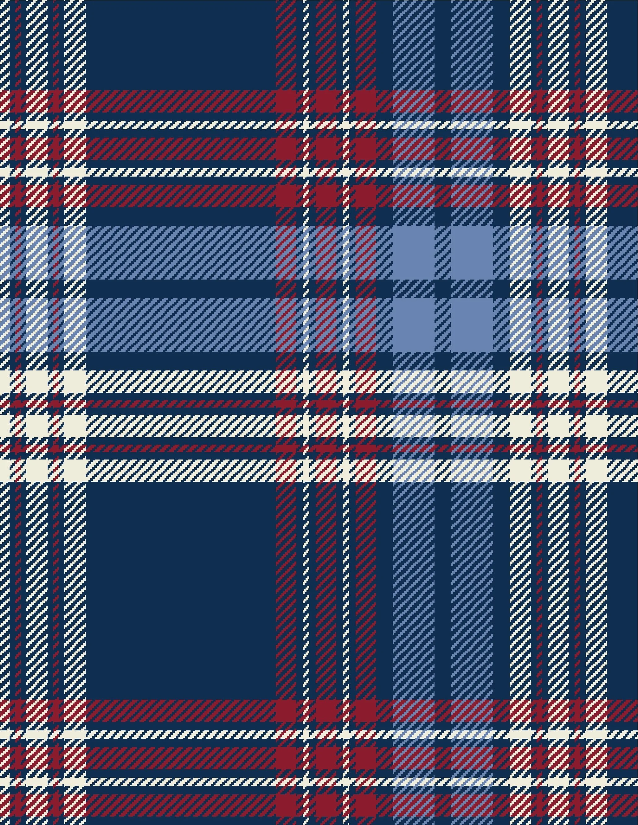 PLAYGROUND PLAID_--003-- copy.jpeg