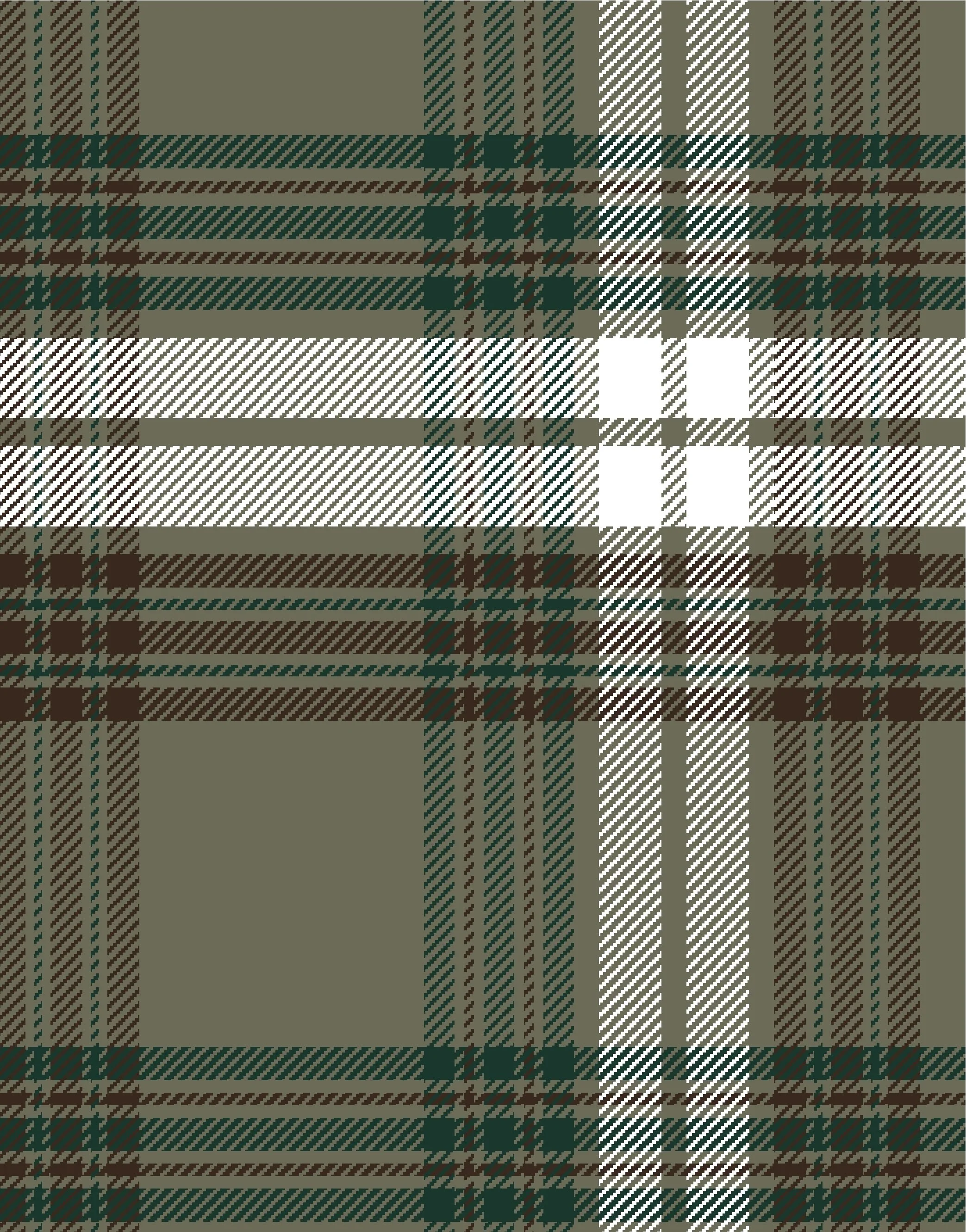 PLAYGROUND PLAID_--005-- copy.jpeg