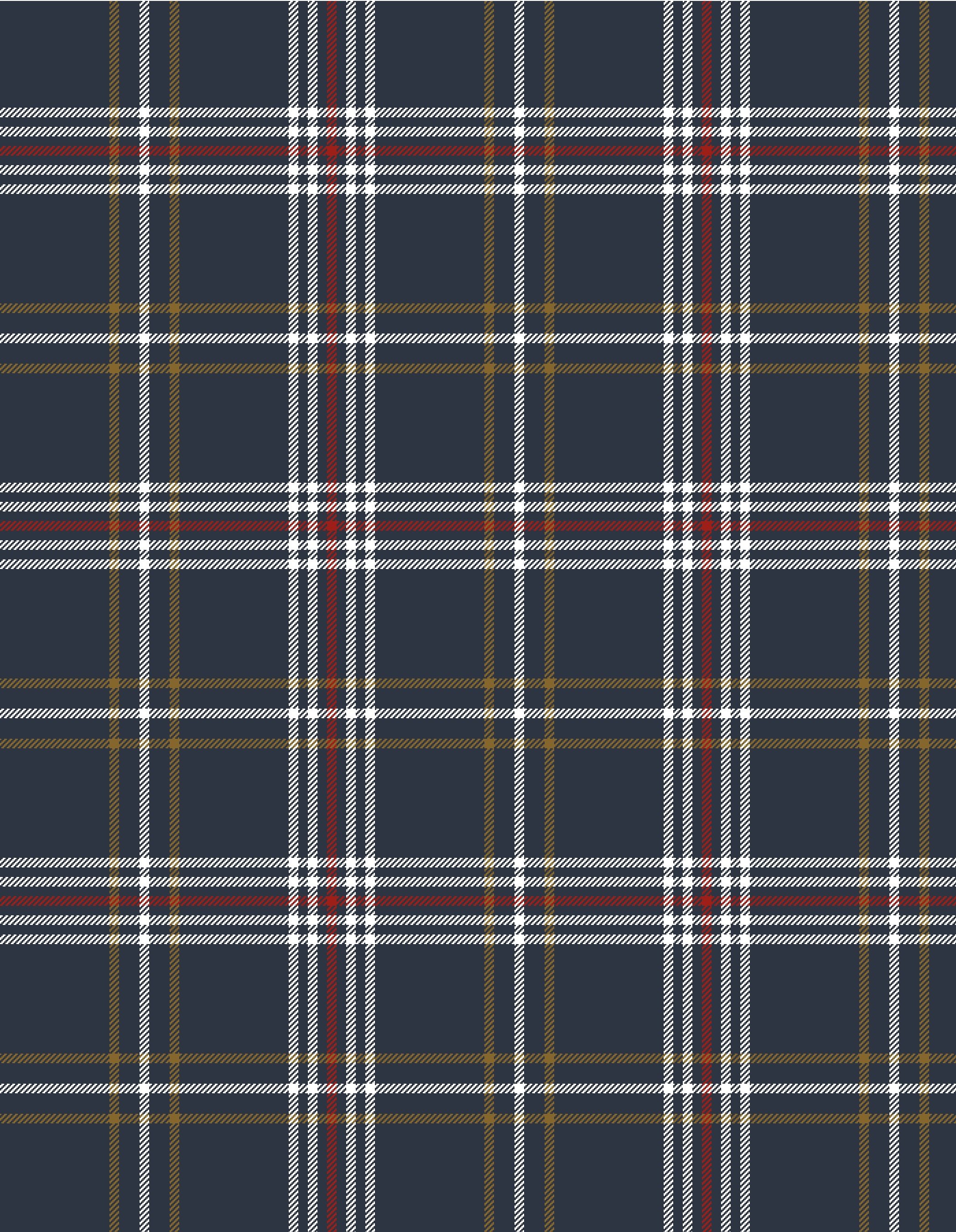 KIRKHILL TARTAN_--002-- copy.jpeg