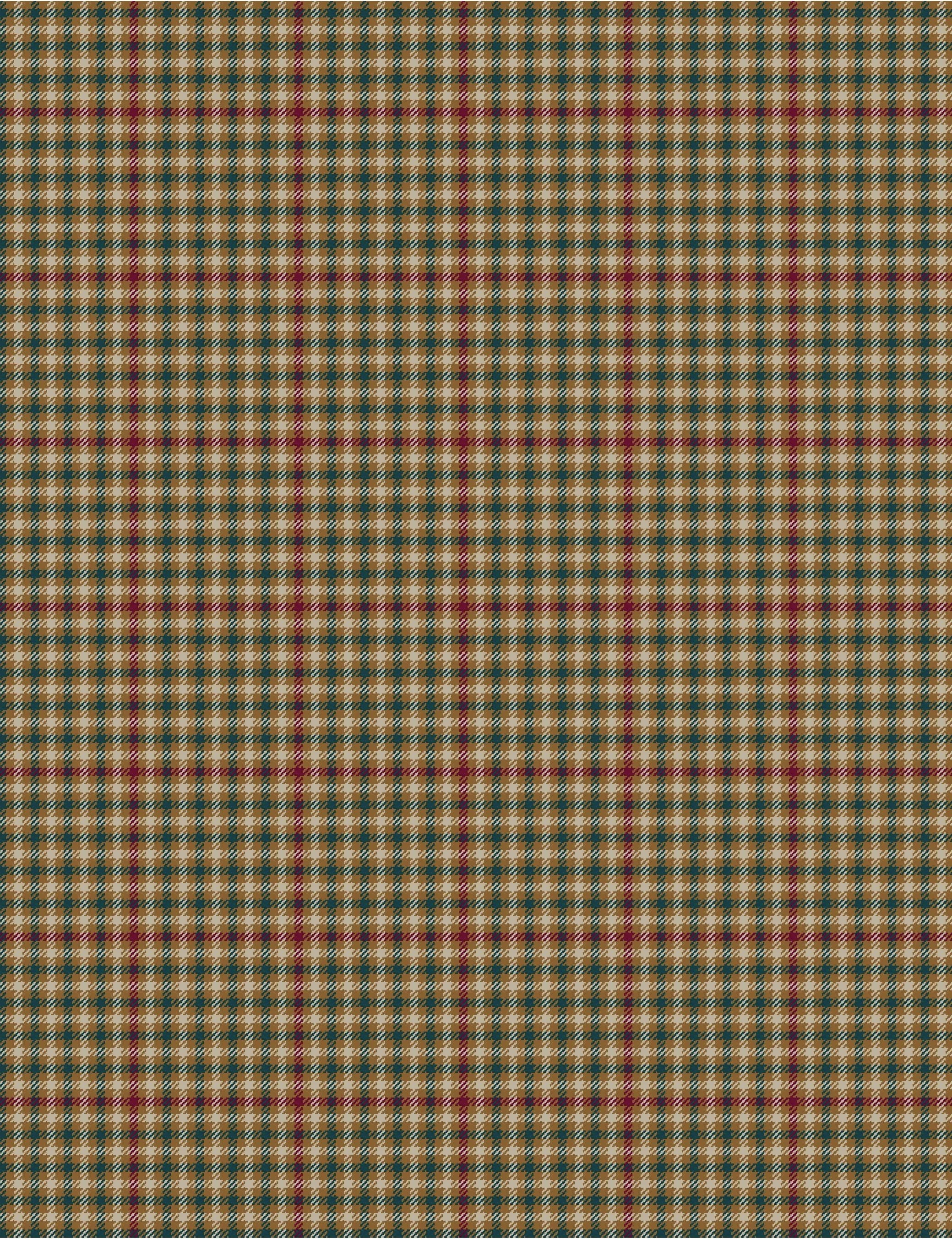 DUNBAR PLAID_--001-- copy.jpg