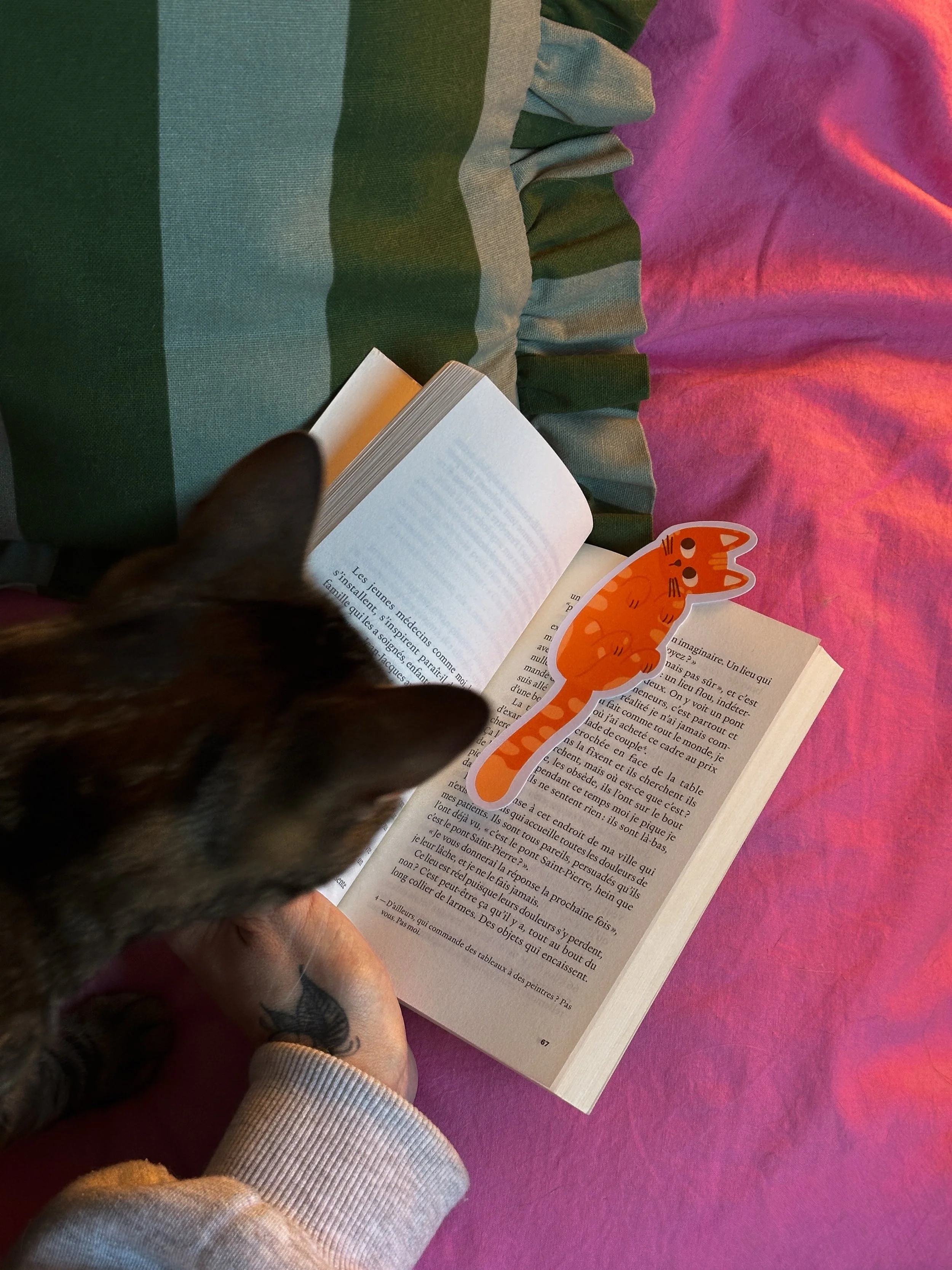Une session lecture, un chat curieux, et un marque-page qui a trouv&eacute; sa place 📚🌙

Vous avez des recos lectures &agrave; me faire ? 

Le marque-page chat est dispo sur le site, lien en bio 🧡

#booklover #bookstagrammer #papeterie #illustrati