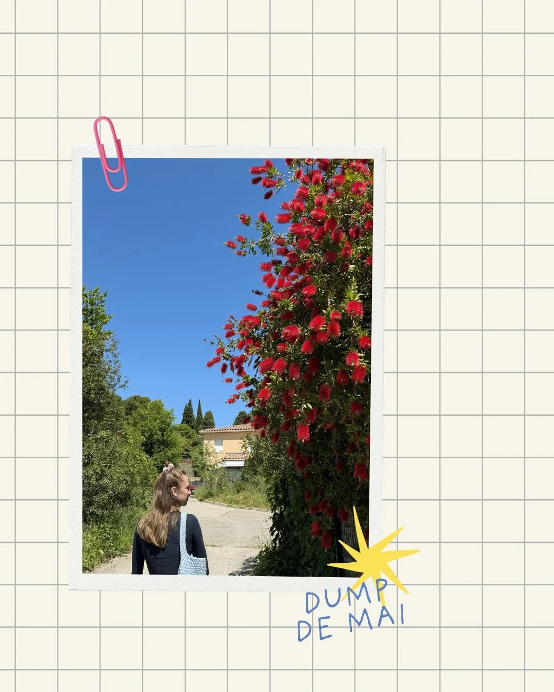 Mai en photos 📷

Un mois plut&ocirc;t calme ici, entre jardinage et balades 🌱 
Et en coulisses, des journ&eacute;es &agrave; poser les bases de la suite pour Guimauve (que j&rsquo;ai pas le reflex de prendre en photos comme ce dump en atteste, oups