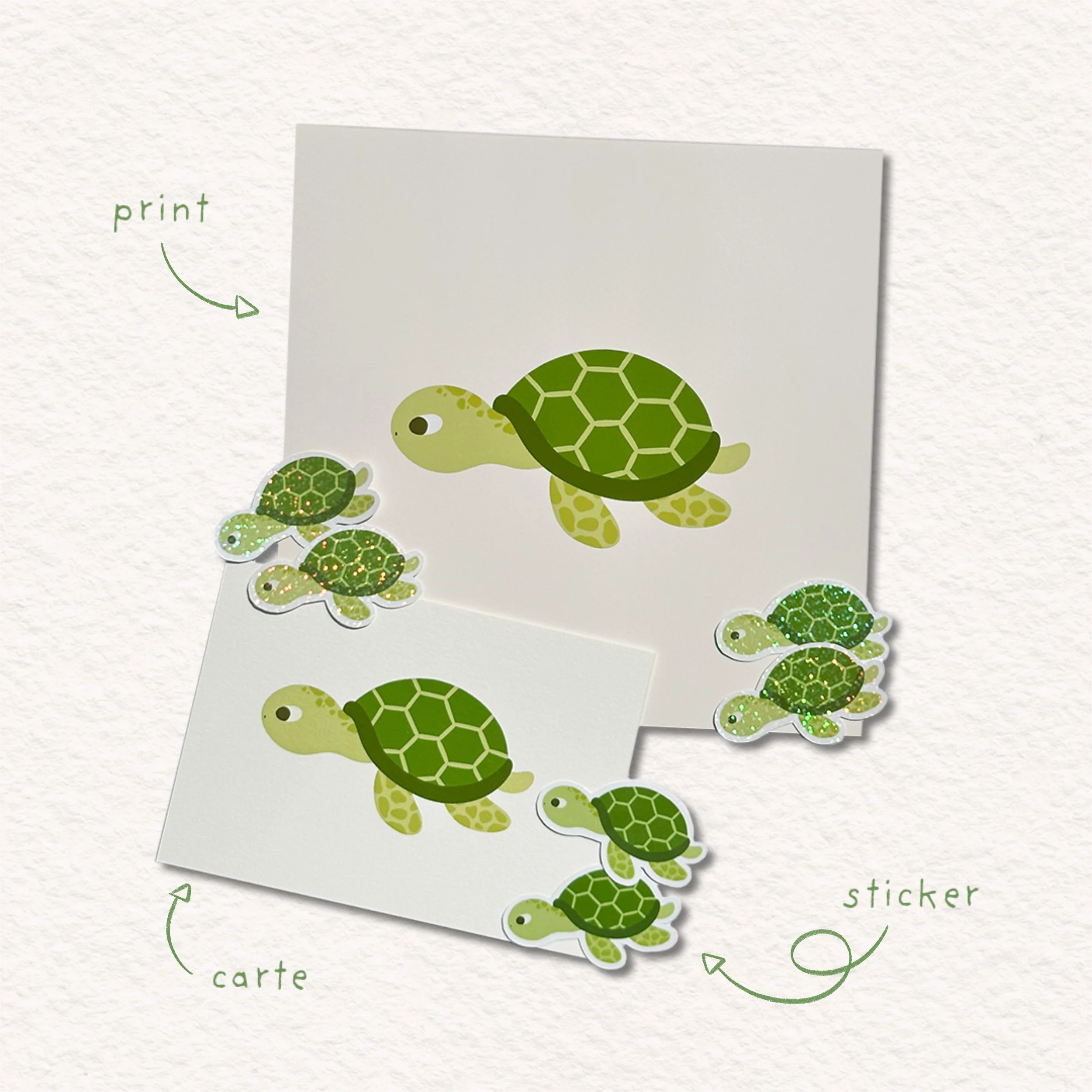 TORTUE - ENSEMBLE 3.jpg