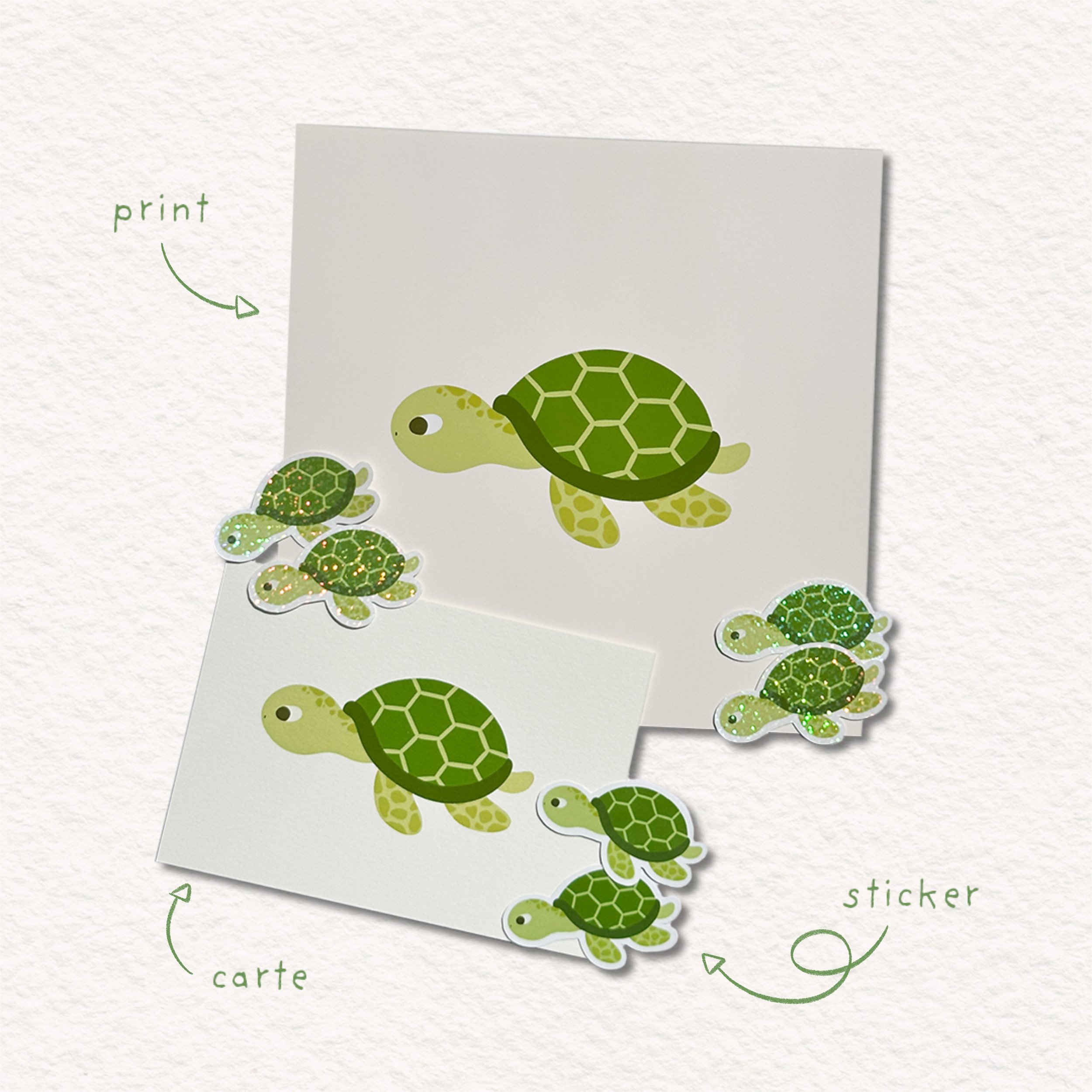 TORTUE - ENSEMBLE 3.jpg