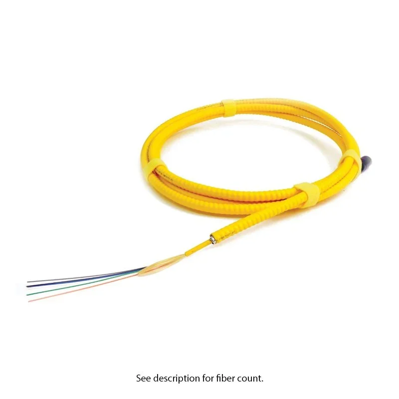 md-12-yellow_1-AIA-sb-2926.webp