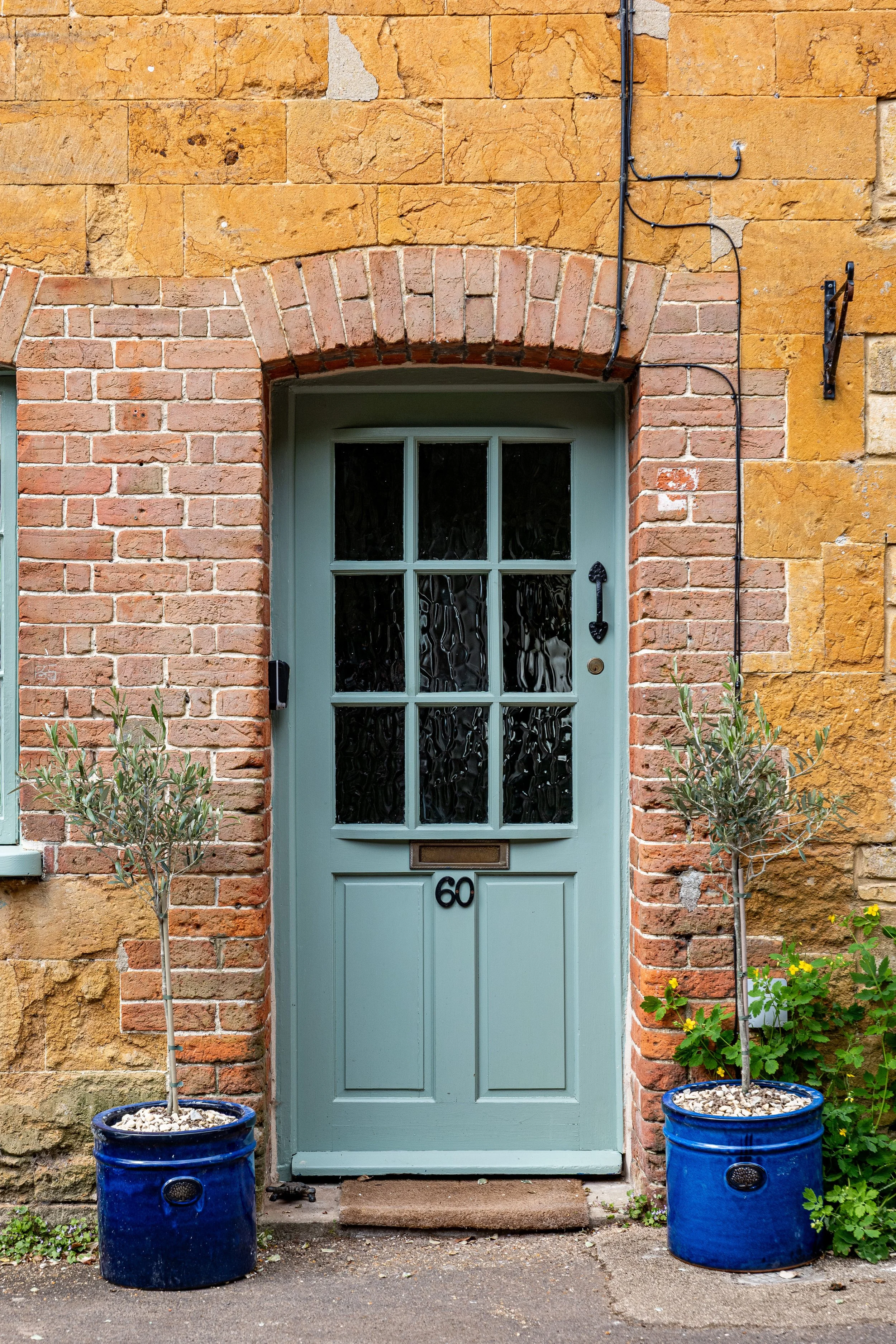 A light blue front door with a black handle and number 60, flanked by two potted small trees in blue pots, with a brick wall background and some green plants on the ground.