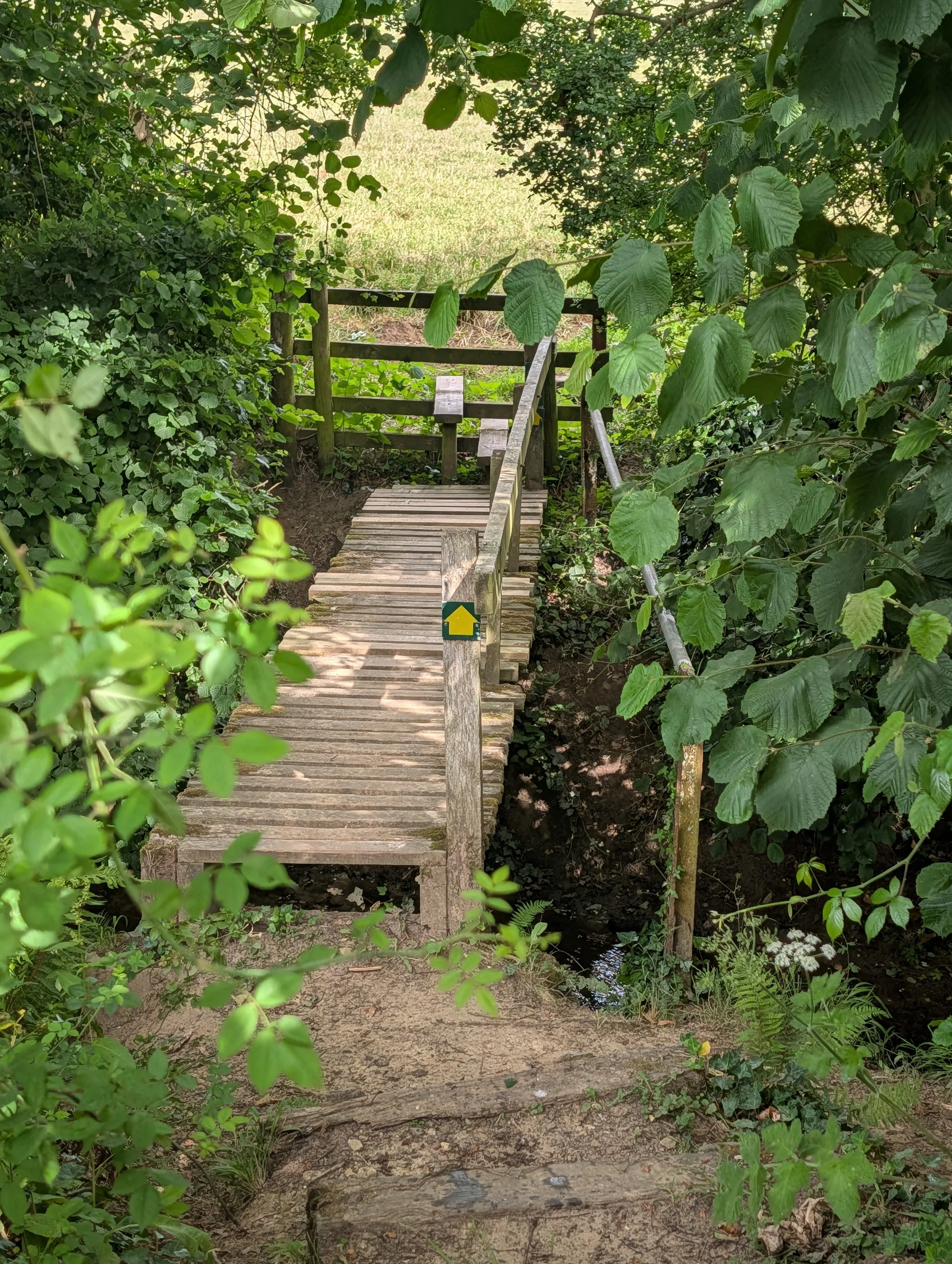 Footpath in Hinton St George over a stream.