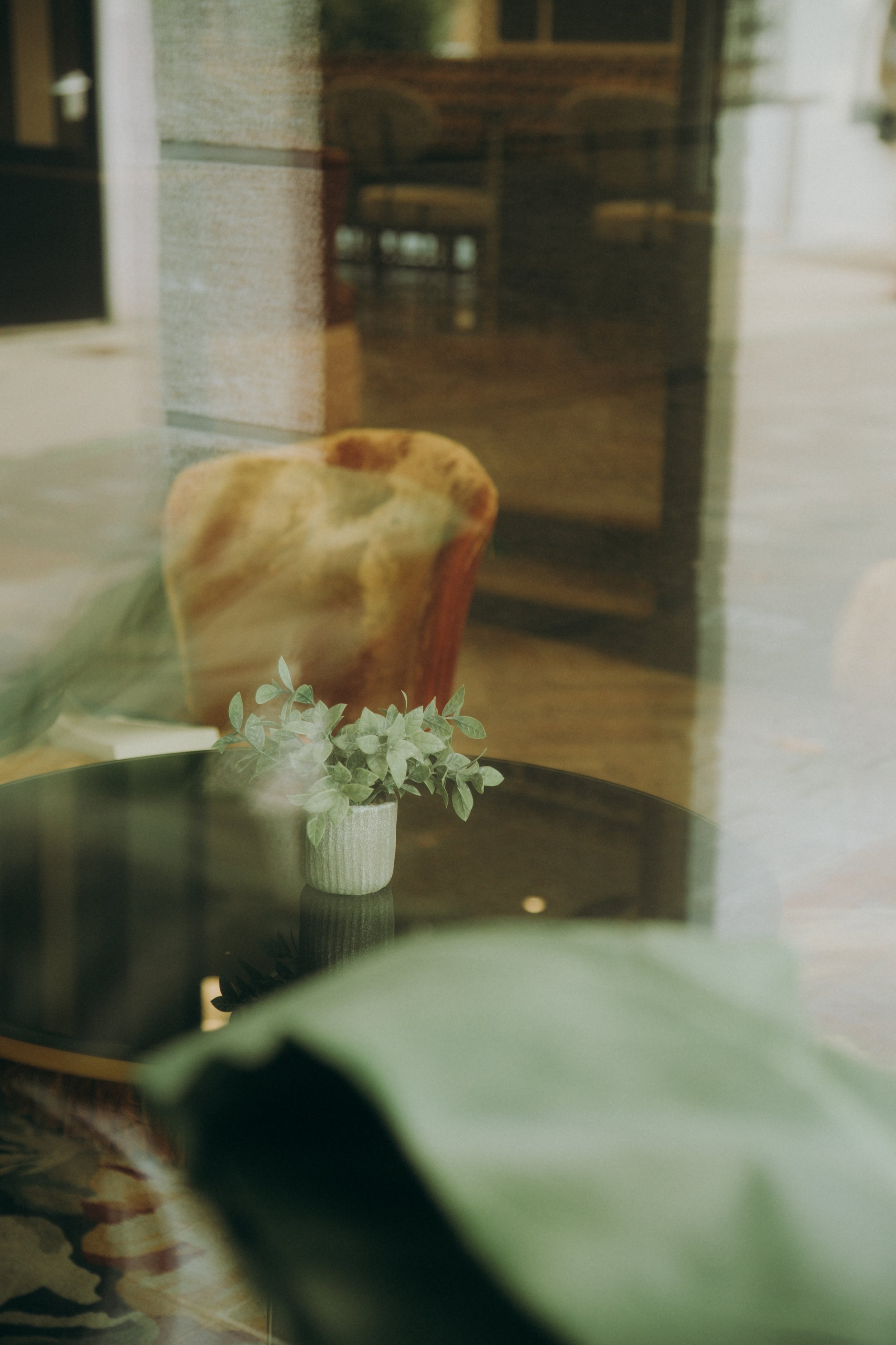 Une vue à travers une fenêtre montrant une table avec un pot de plantes vertes et une chaise en tissu beige-orange à l'intérieur.