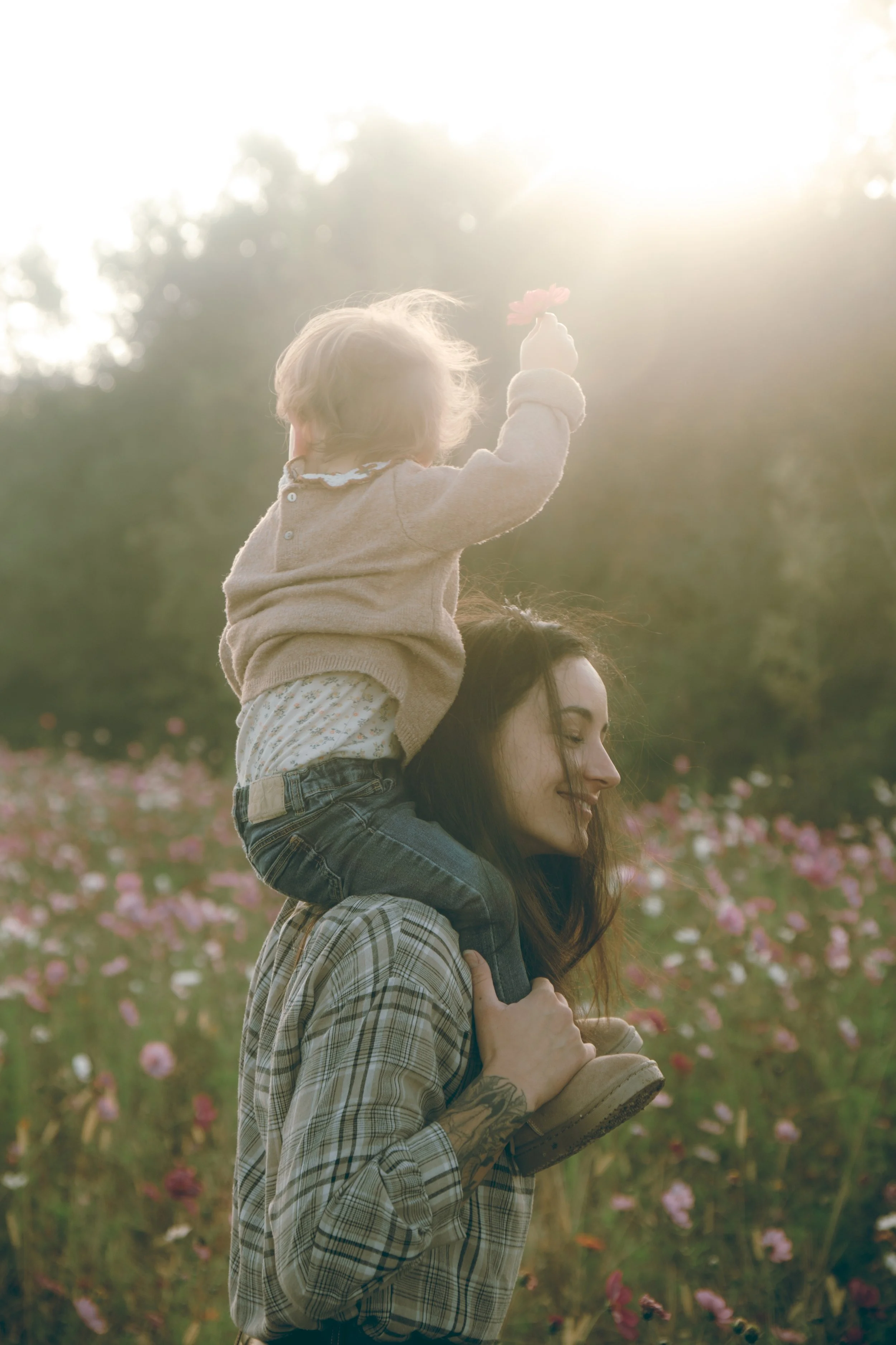 Une femme porte un enfant sur ses épaules dans un champ de fleurs au coucher du soleil.