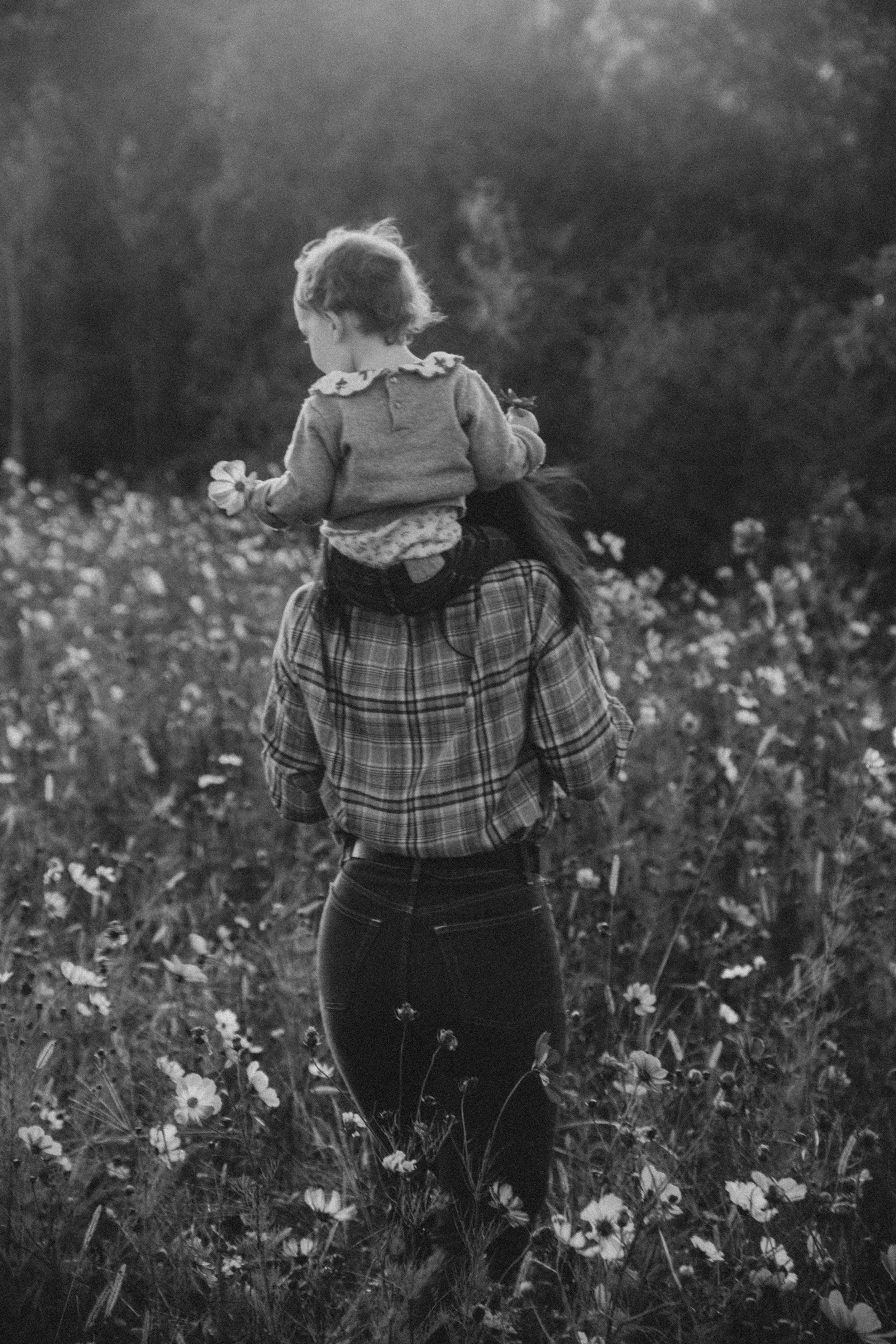Une personne portant un vêtement à carreaux portant un enfant sur ses épaules dans un champ de fleurs en plein air, en noir et blanc.