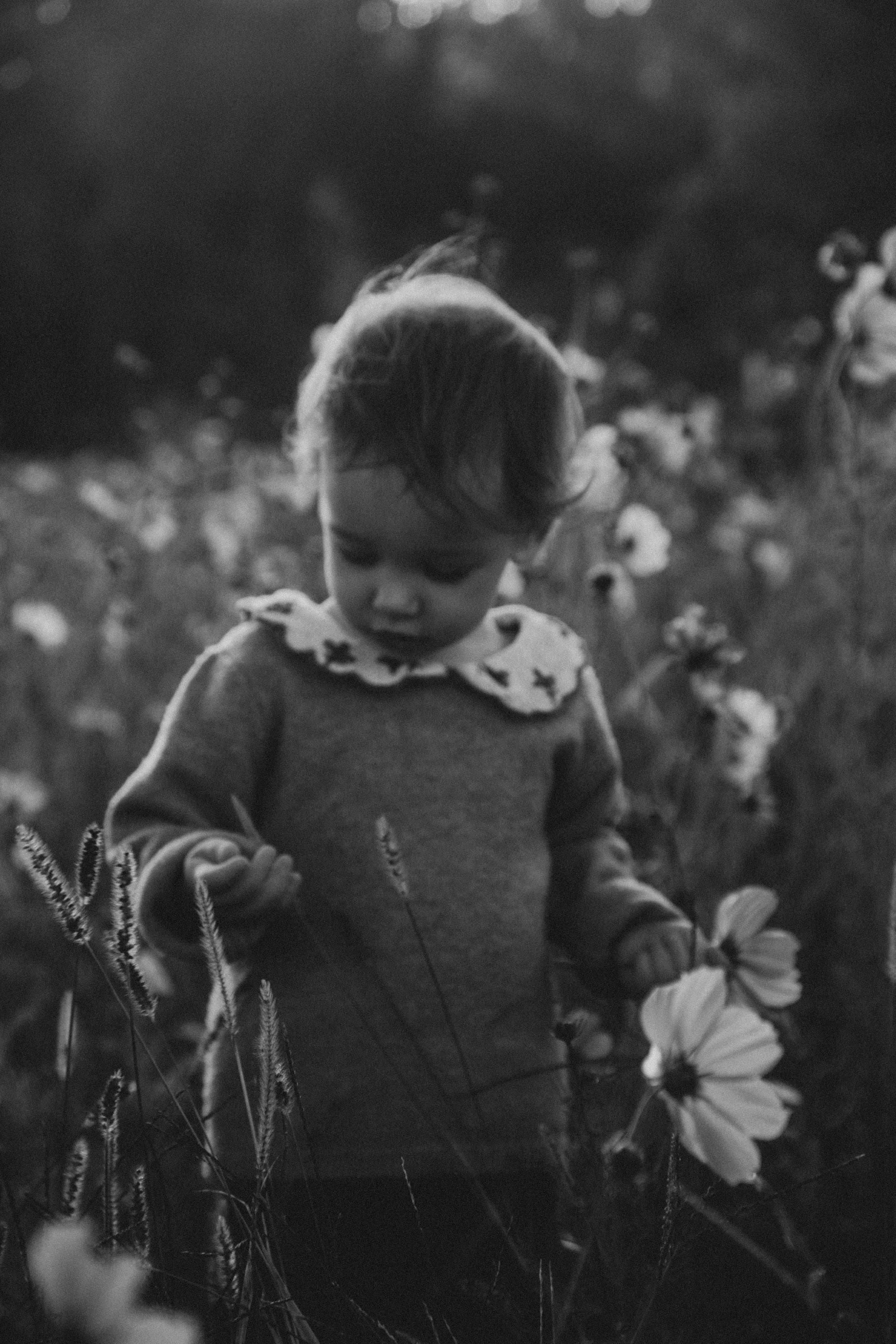 Un jeune enfant dans un champ de fleurs, regardant une fleur dans sa main, en noir et blanc.