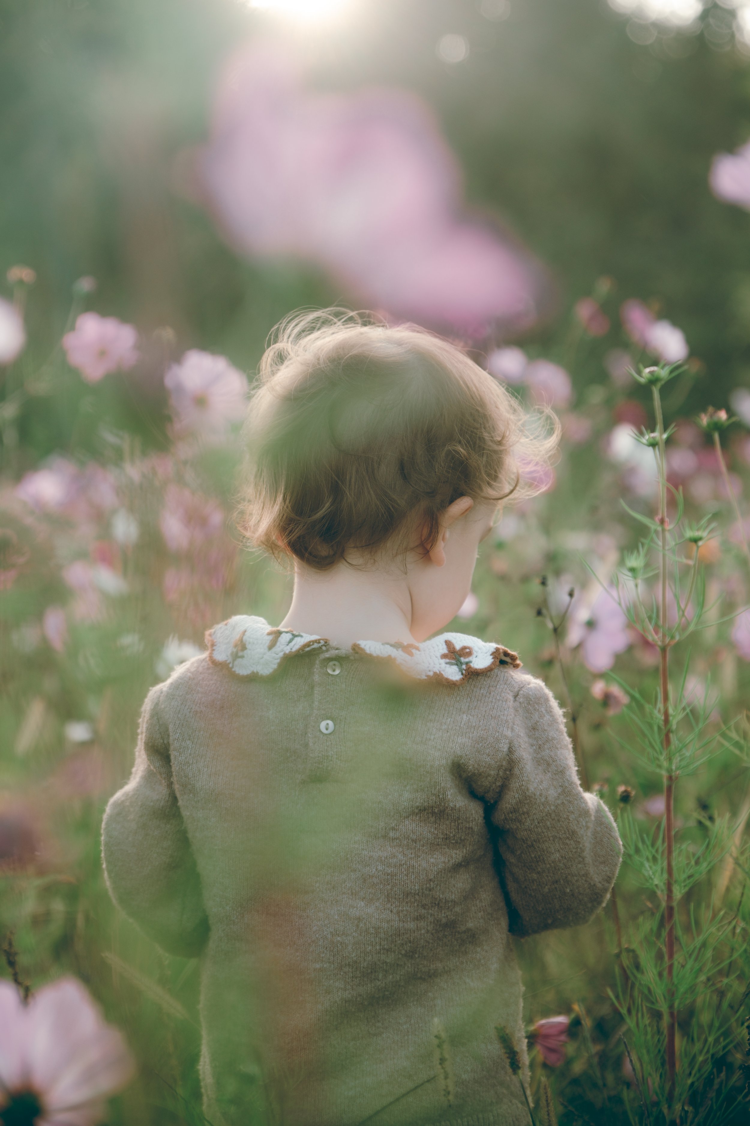 Un enfant vu de dos dans un champ de fleurs roses et vertes, avec une lumière douce et floue en arrière-plan.