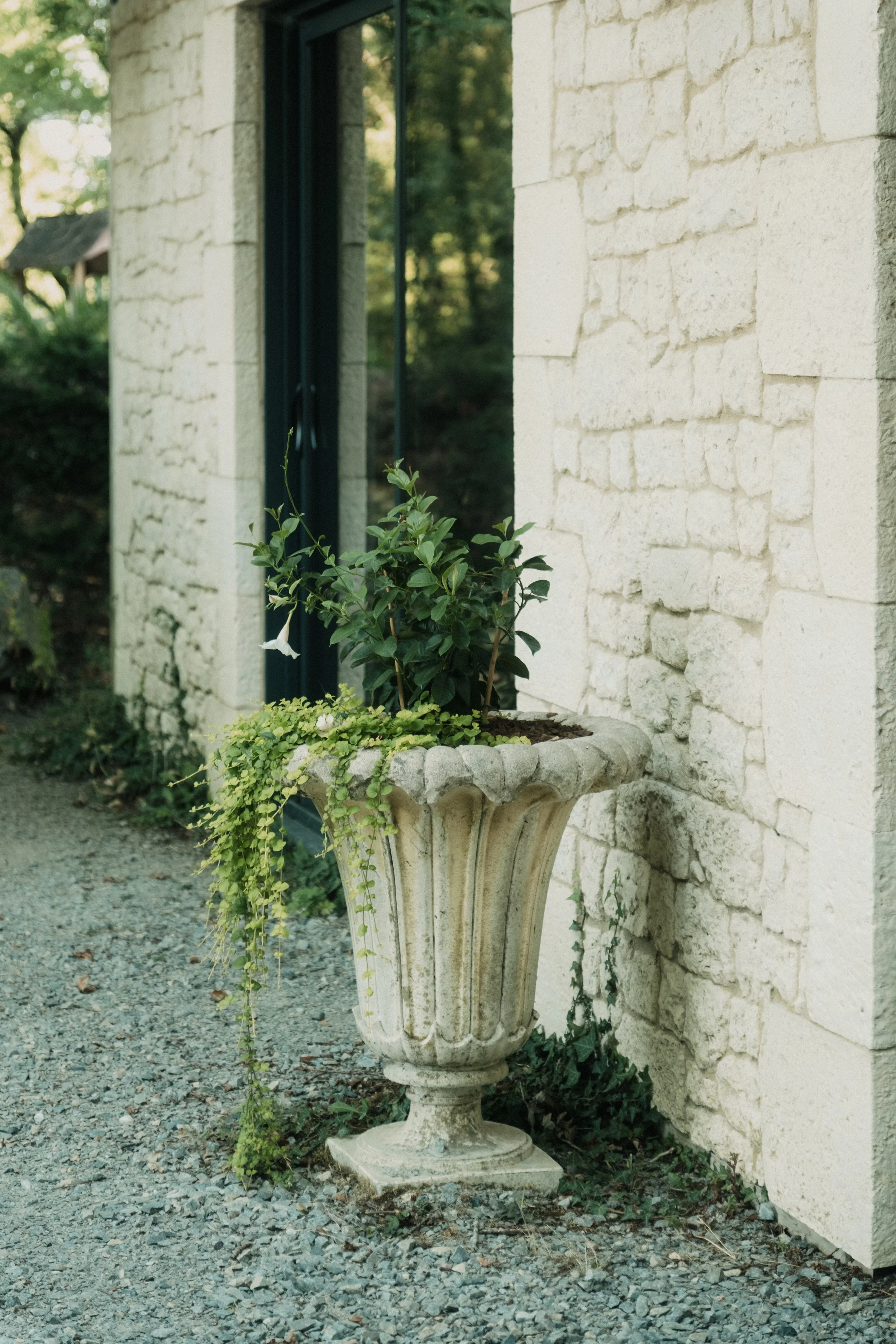 Un grand pot en pierre contenant des plantes vertes, placé contre un mur de pierre blanche, à l'extérieur, avec des arbres en arrière-plan.
