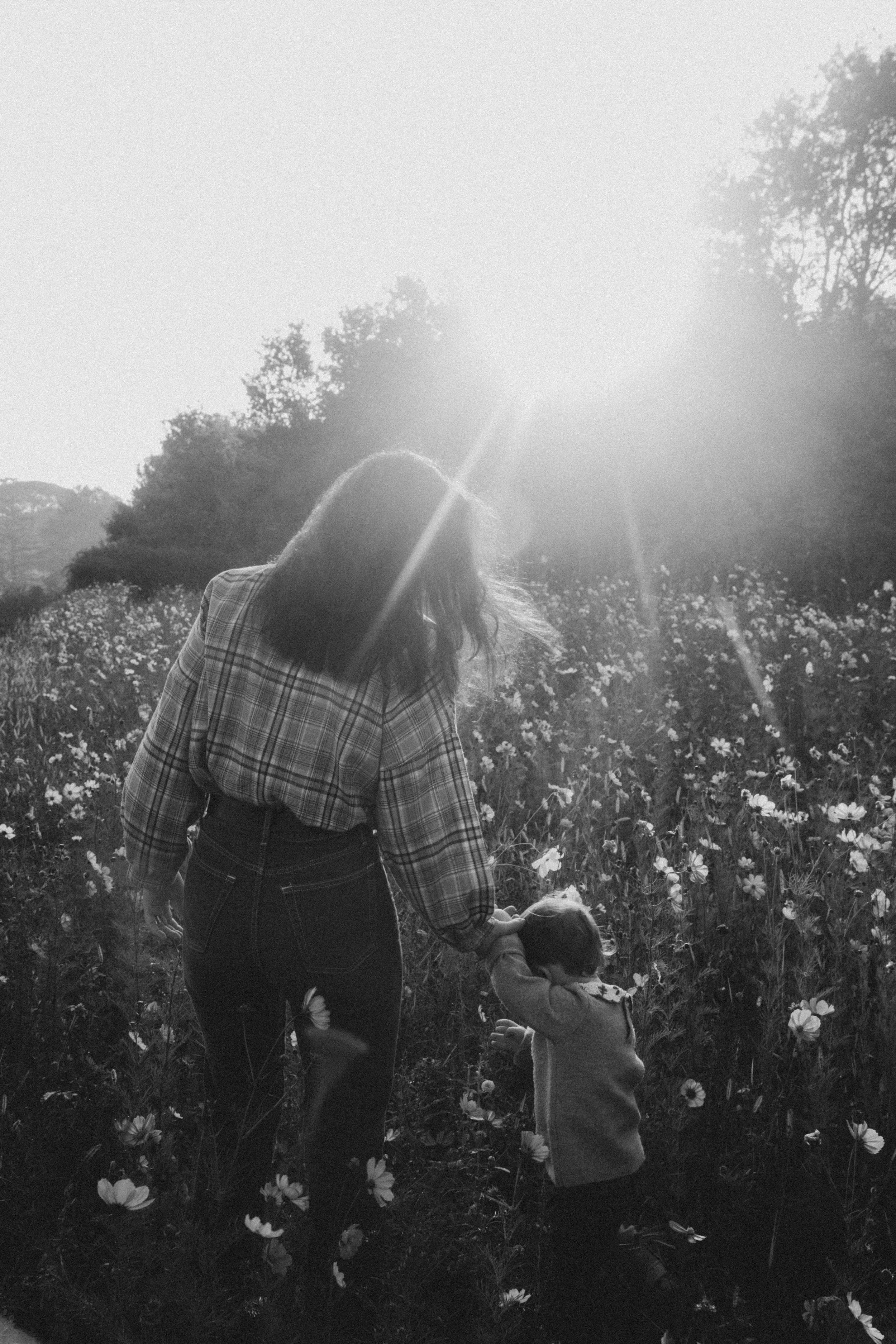 Une femme et un enfant dans un champ de fleurs au coucher de soleil, en noir et blanc.