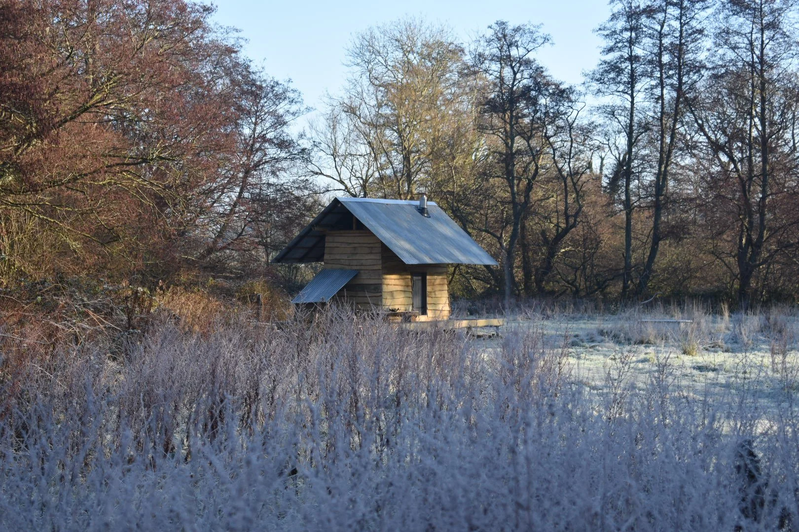 A small wooden cabin with a metal roof in a frosty field surrounded by leafless trees during winter.