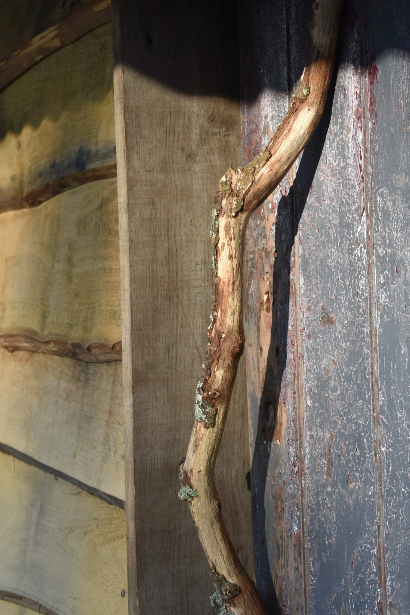 A weathered, curved wooden stick with patches of lichen rests on a worn, painted wooden surface. A wooden divider is visible in the background.