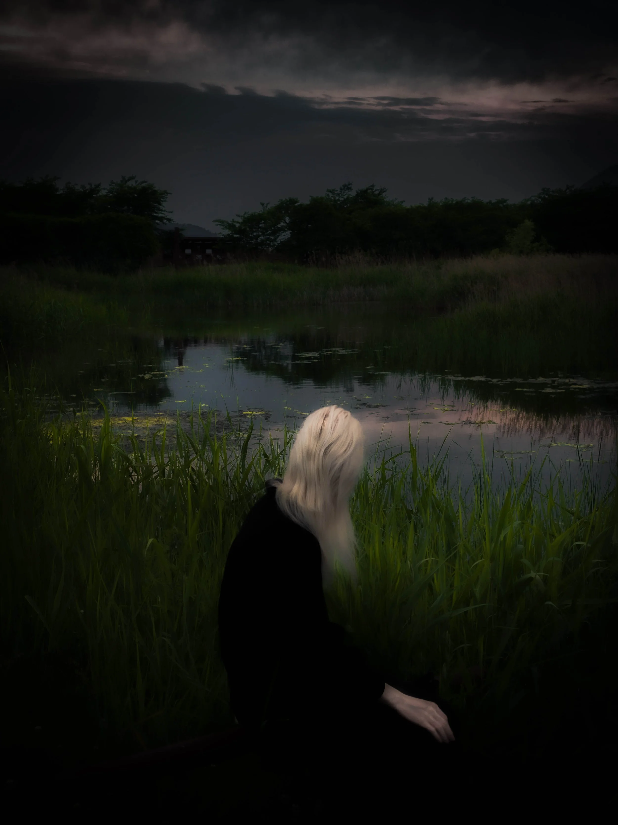 The Marsh, 2021
Archival print on photo Hahnemühle rag satin
Edition of 3/3 + 1AP | 45 x 60 cm | 2'700 unframed | 3'200 framed in massive oak
Edition of 1/3 + 1AP | 75 x 100 cm | 4'000 unframed