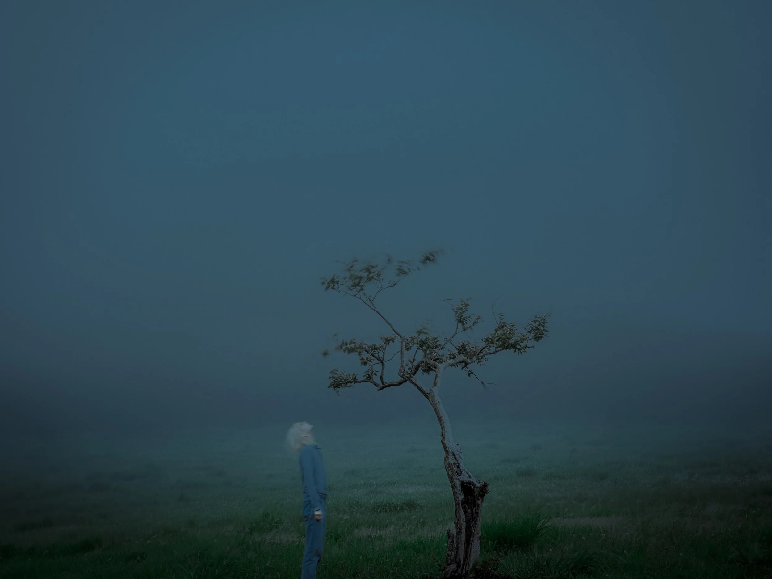 The Tree, 2021
Archival print on photo Hahnemühle rag satin
Edition of 2 | 30 x 40 cm | 🔴
Edition of 2/2 + 1AP |  60 x 80 cm | 3'300 CHF unframed
Edition of 2 + 1AP | 100 x 75 cm | 🔴