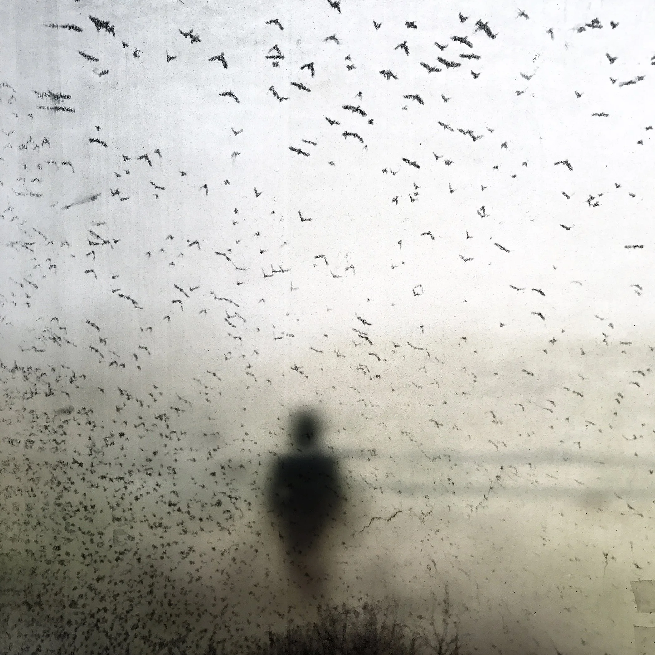 Apunte B-96_2017.jpg