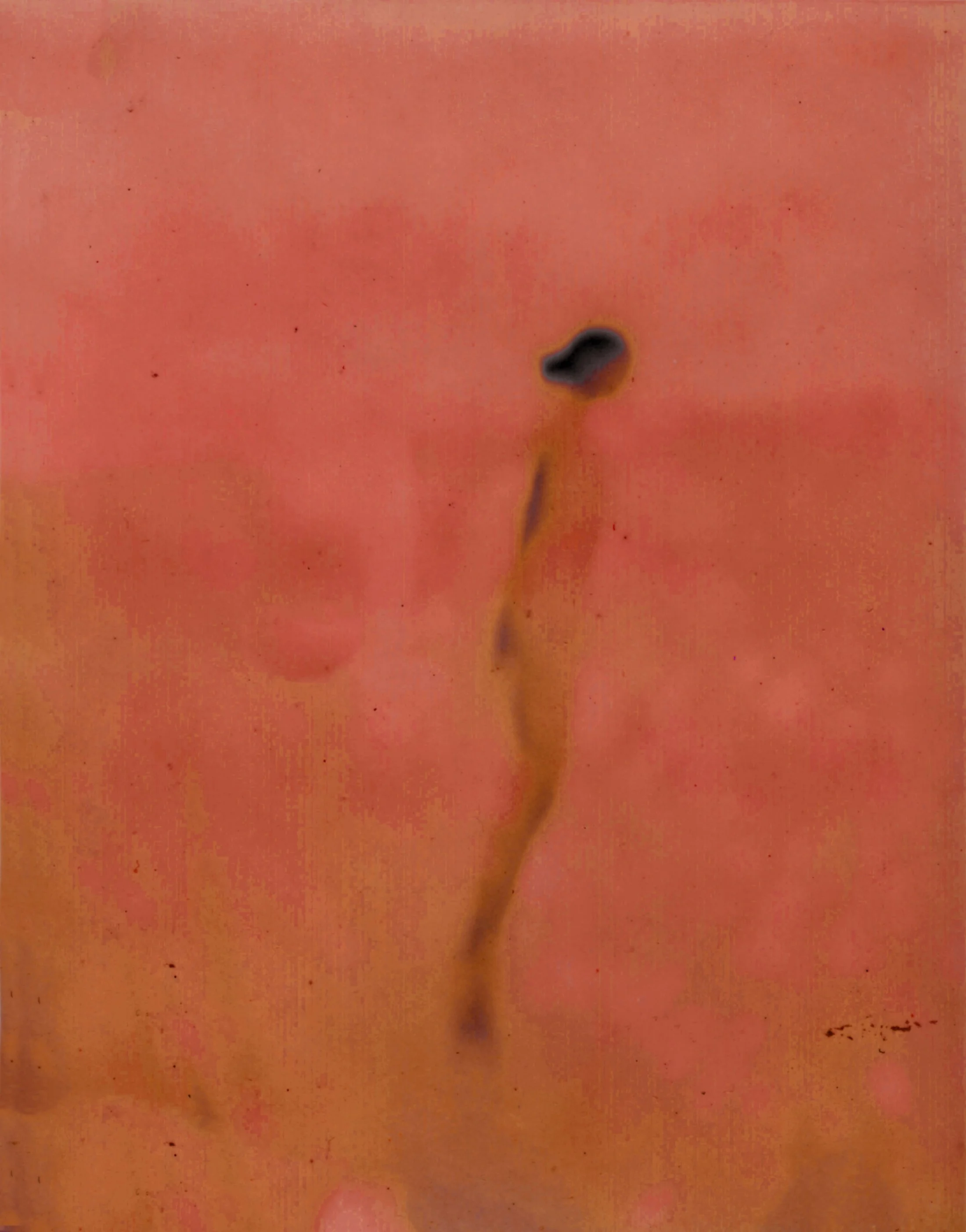 Evolution VI, 2021
Archival pigment print on  cotton paper
Edition of 7
134 x 105 cm