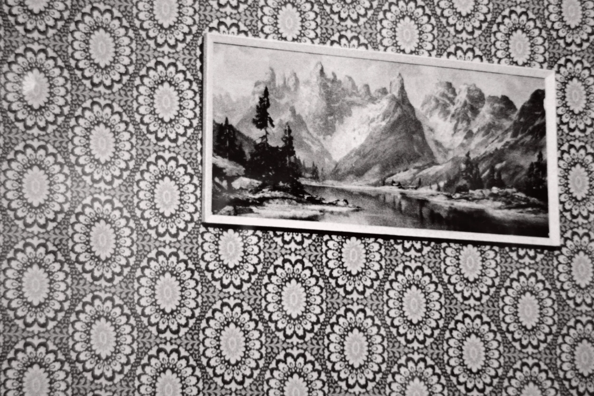 Prélèvement Martin Parr, 2010
Archival print on Hahnemühle baryta paper
20 x 30 cm
Edition of 5 + 2AP