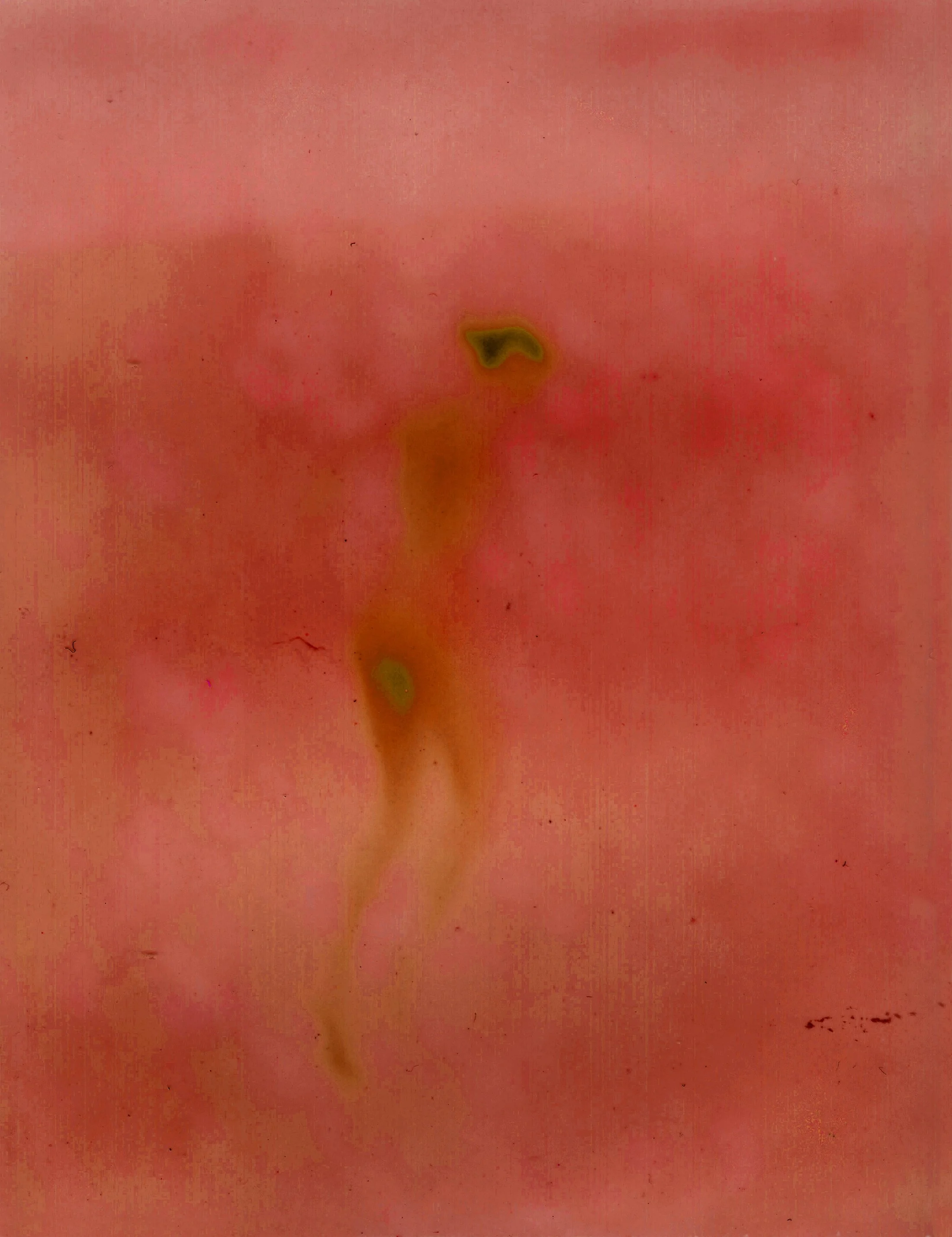 Evolution I, 2021
Archival pigment print on  cotton paper
Edition of 7
134 x 105 cm