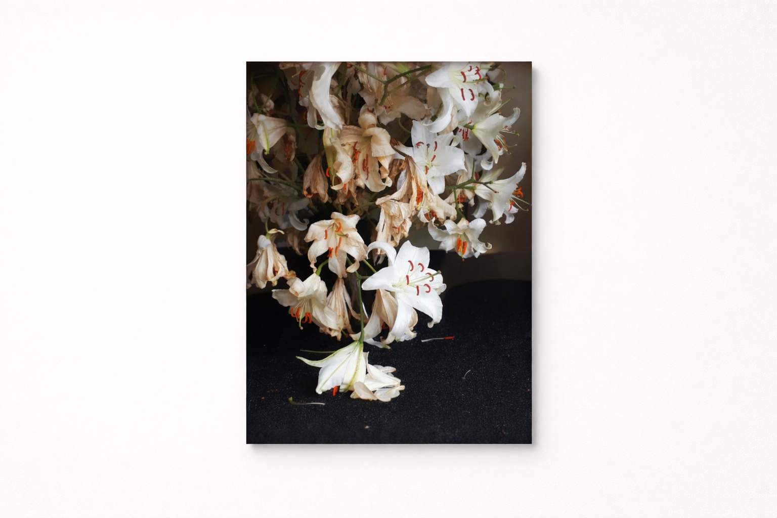 YSL, 2018
Archival print on Hahnemühle baryta paper
Diasec
Edition of 5 + 2AP
90 x 67,5 cm